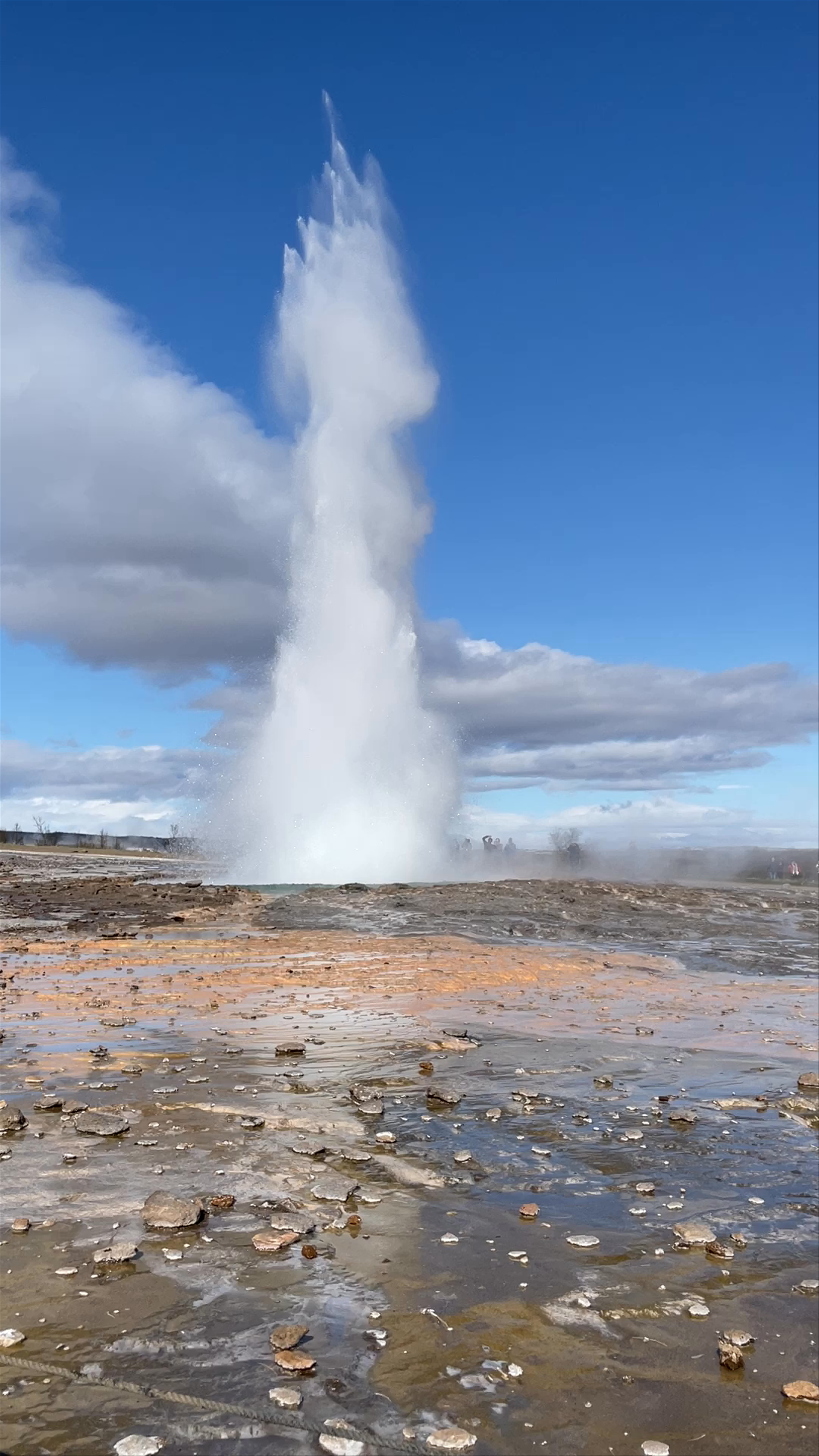 Geysir
