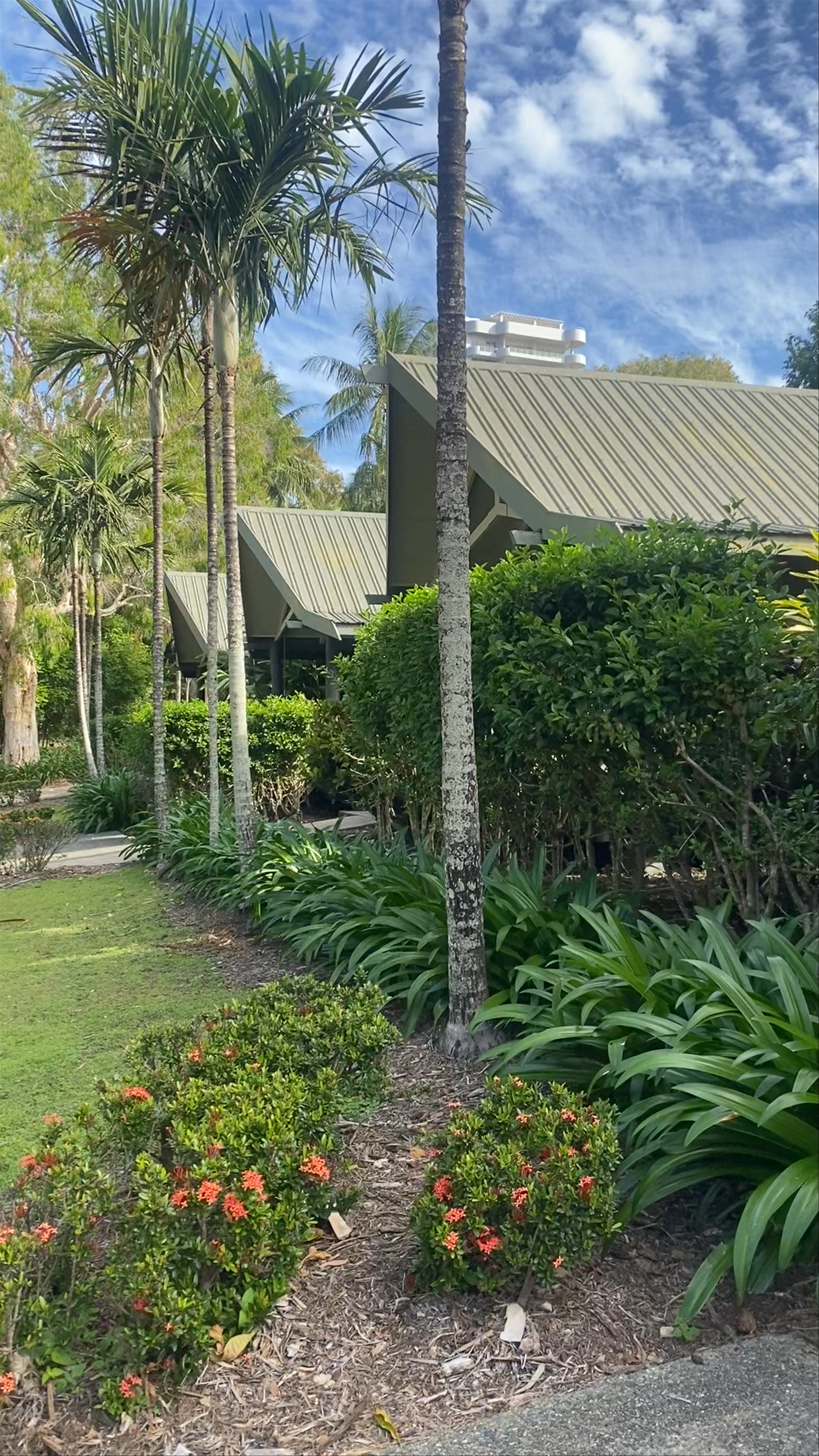 Serene Morning Walk at Palm Bungalows Resort, Whitsundays