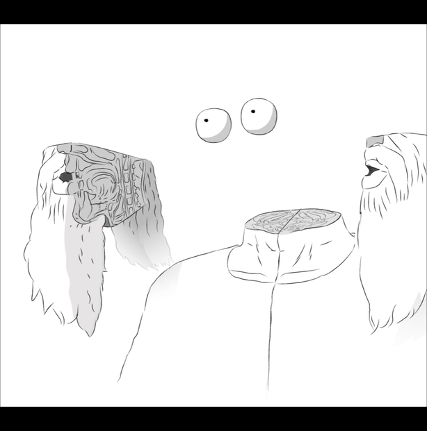 Halro