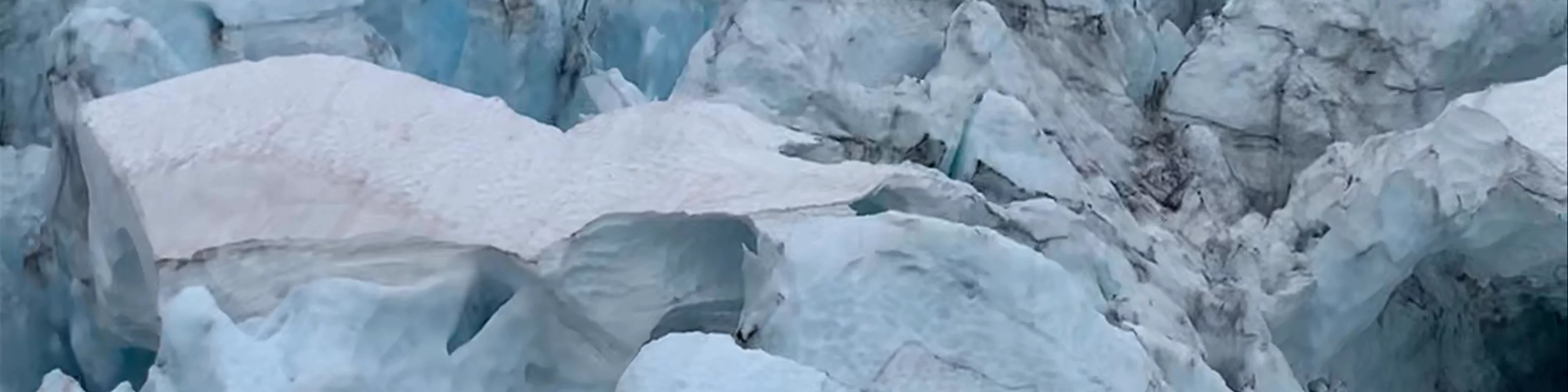 Girdwood flight seeing tours 