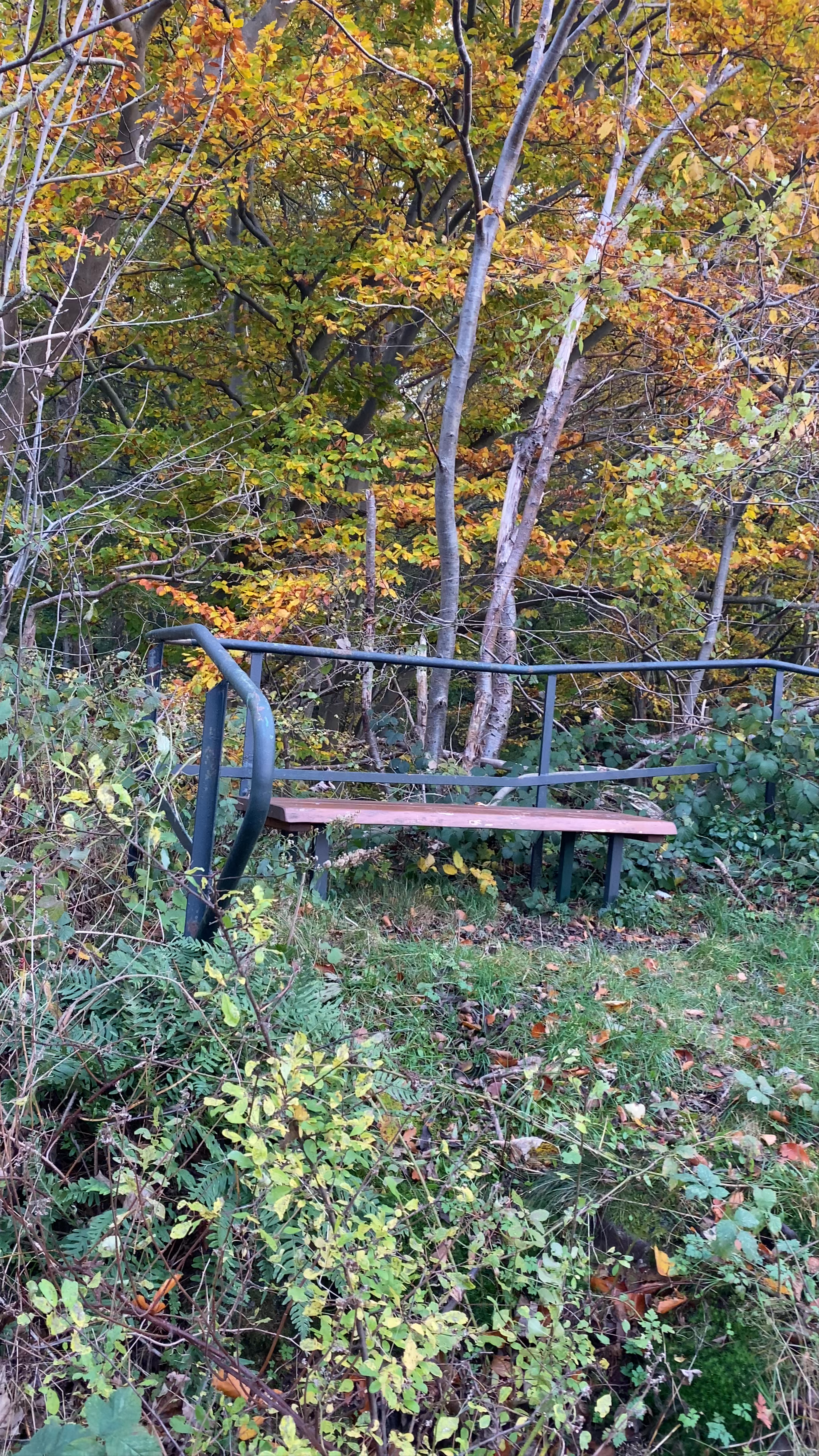 Blick übers Tal Viewpoint