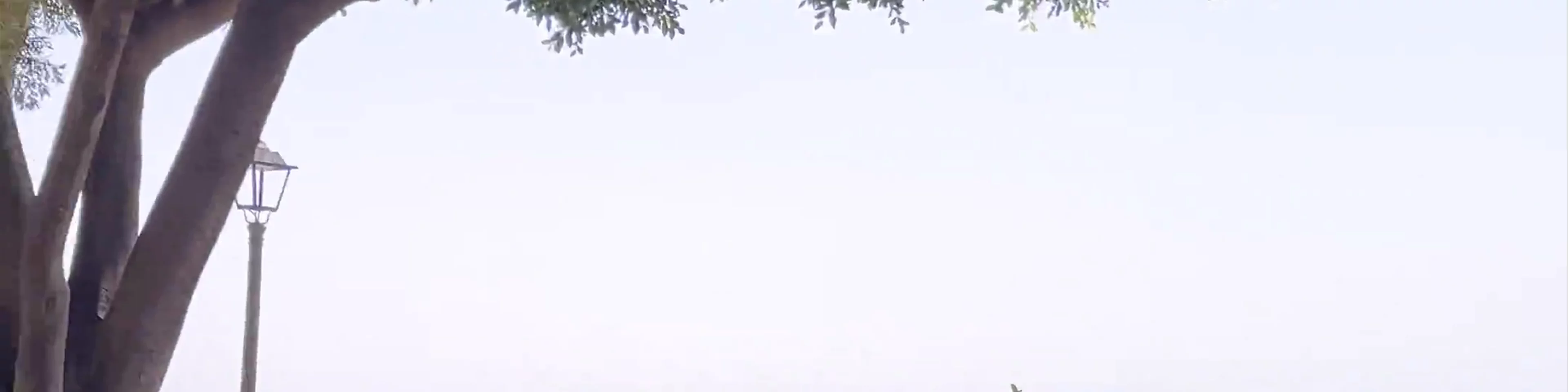 Mirador del Compas