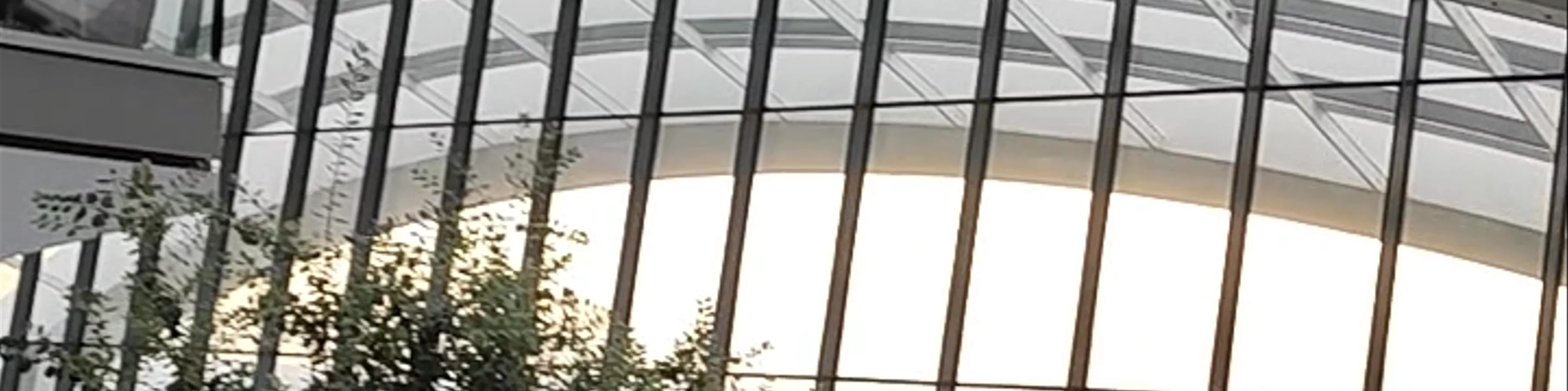 Sky Garden