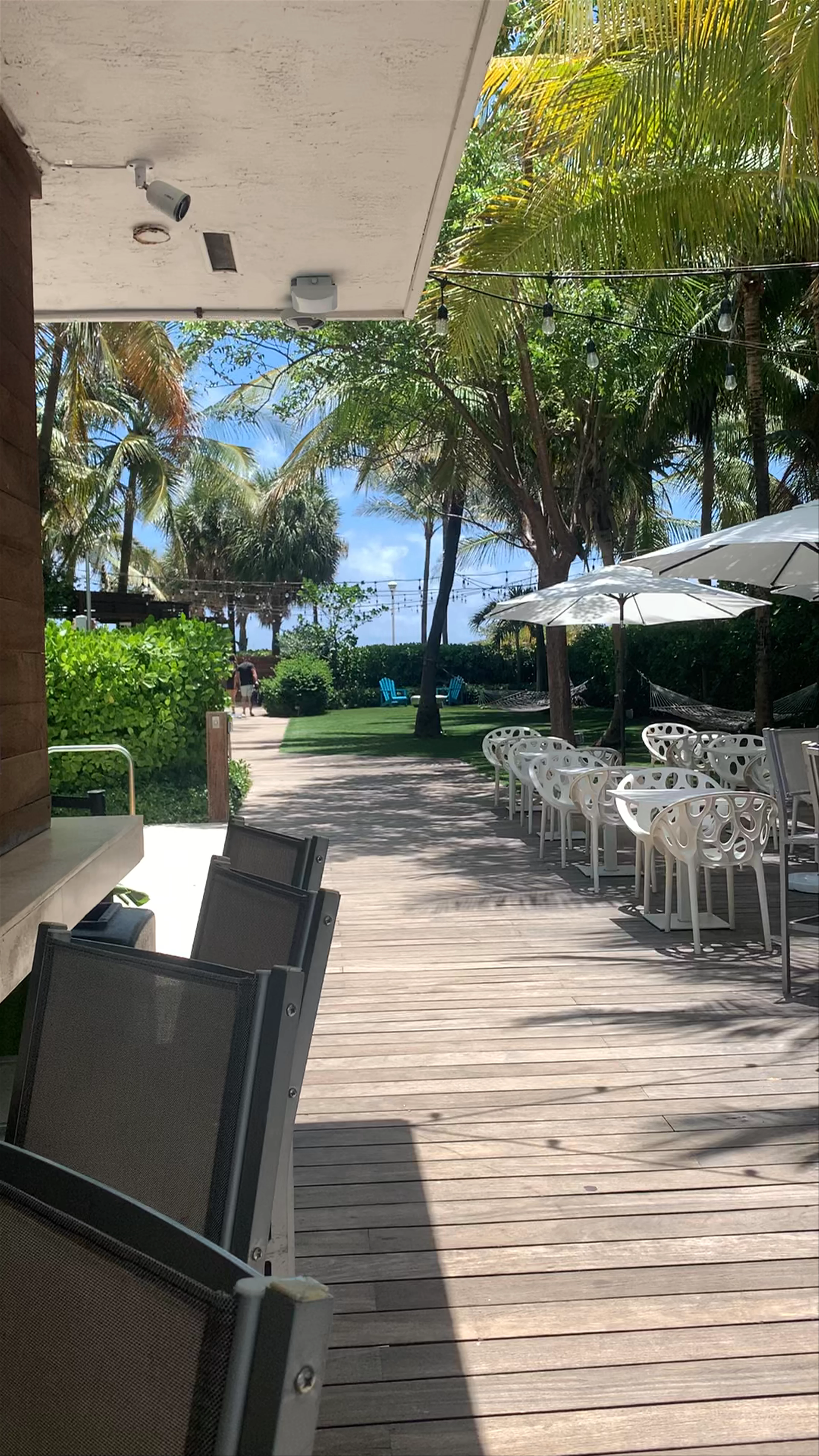 Backyard Bar, Collins Avenue, Miami Beach, FL, USA