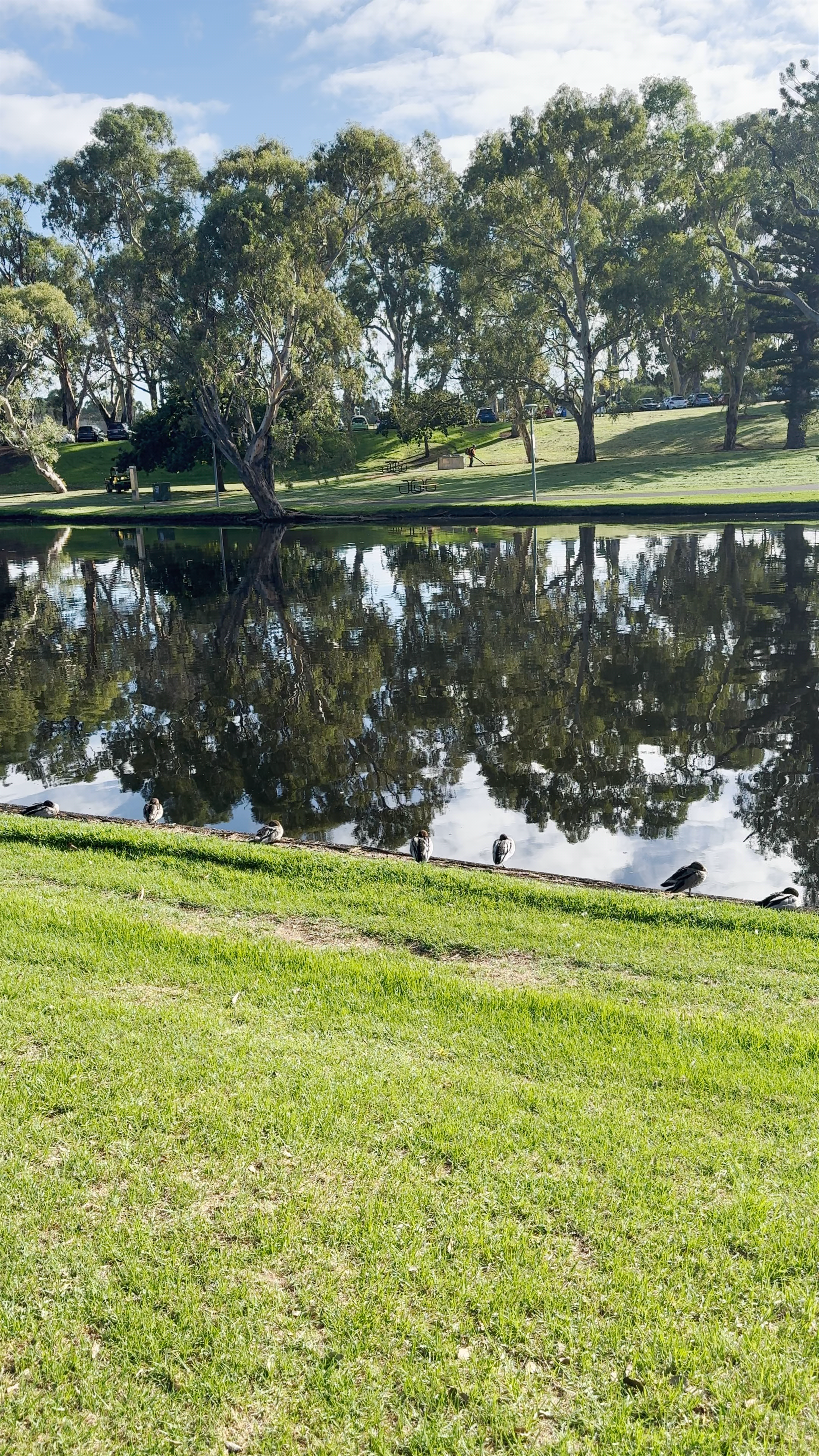 River Torrens / Karrawirra Parri