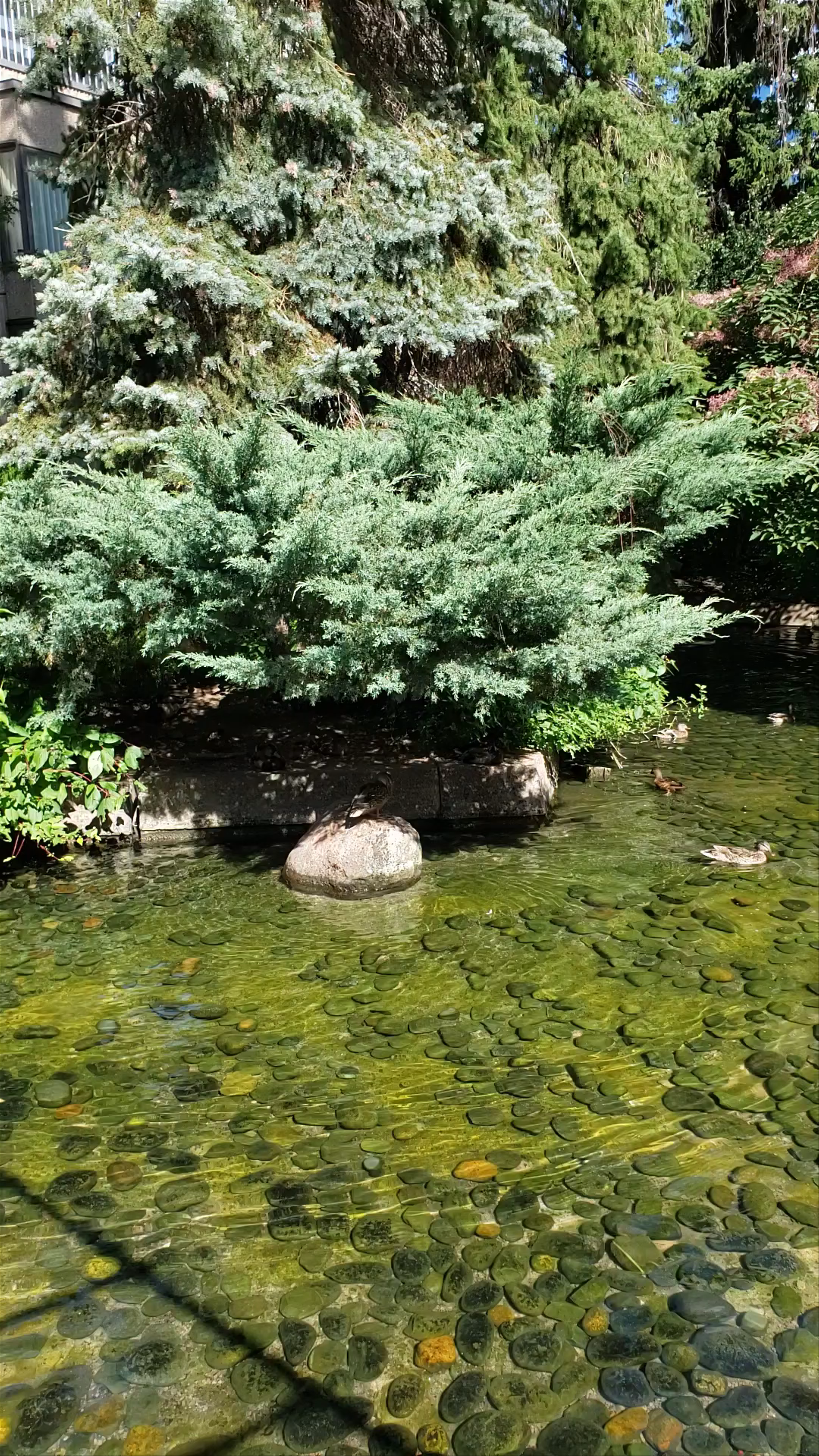 Serene Urban Oasis at Hotel Bonaventure, Montreal