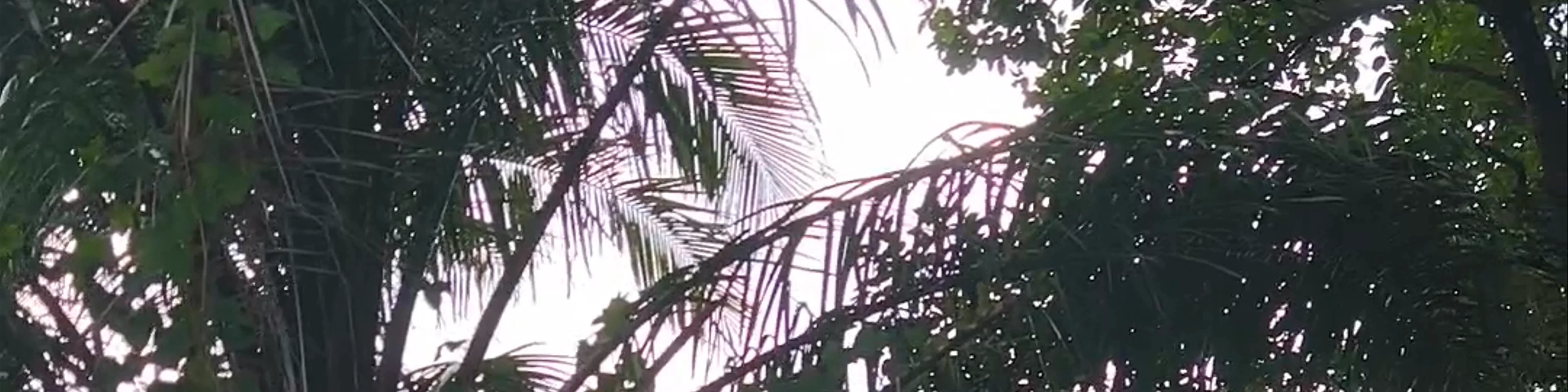 Kamala Beach View Point