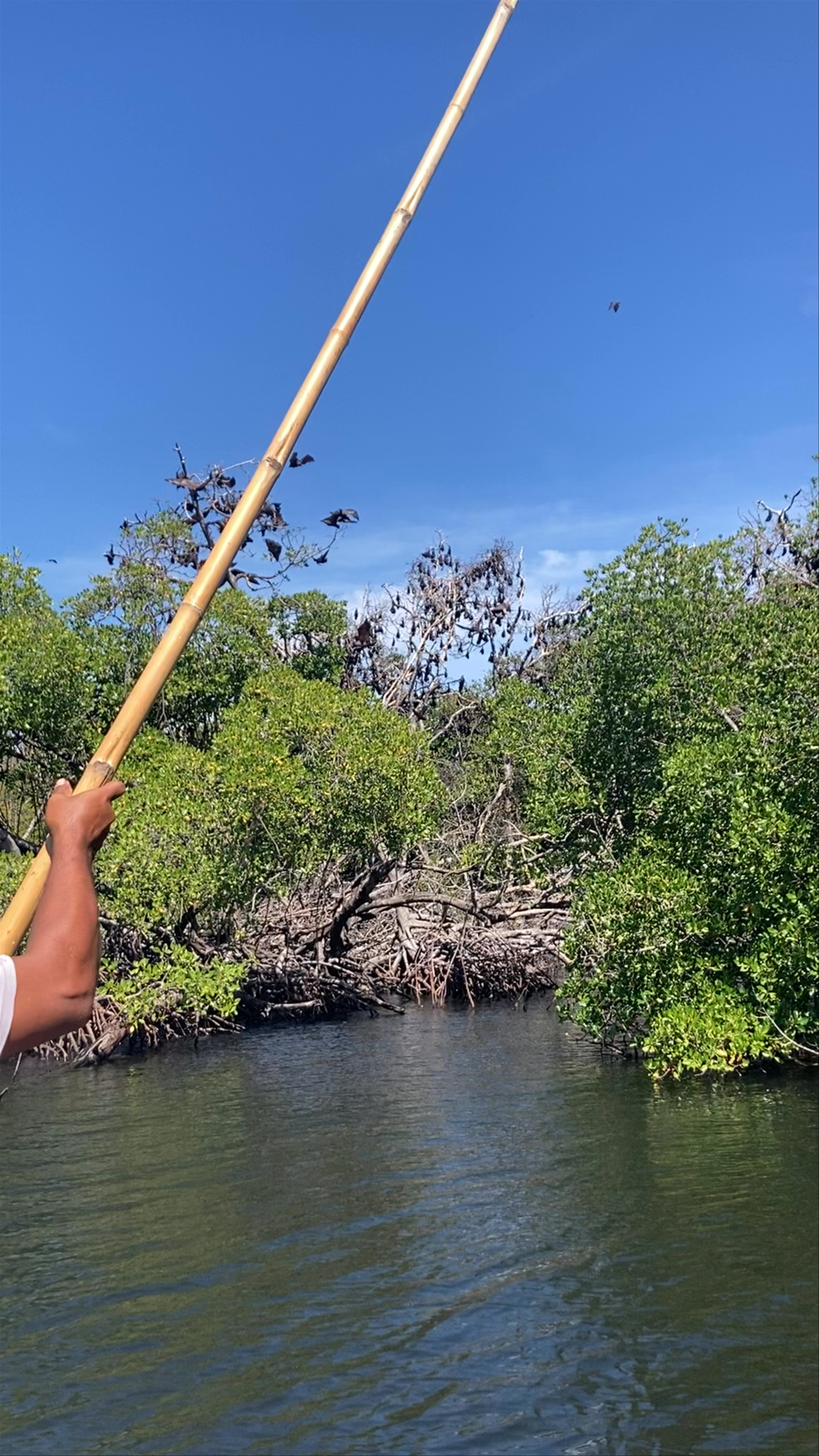 17 Islands National Park
