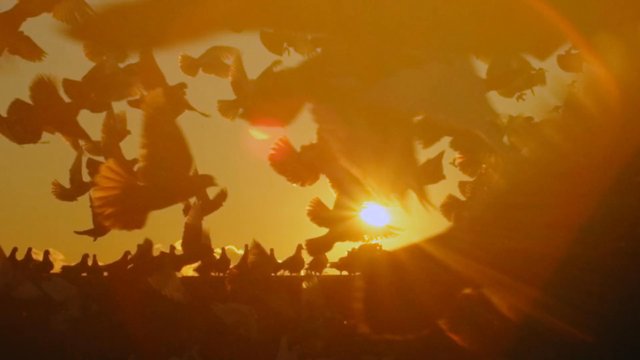 Moen “Inspired By Motion Sense”