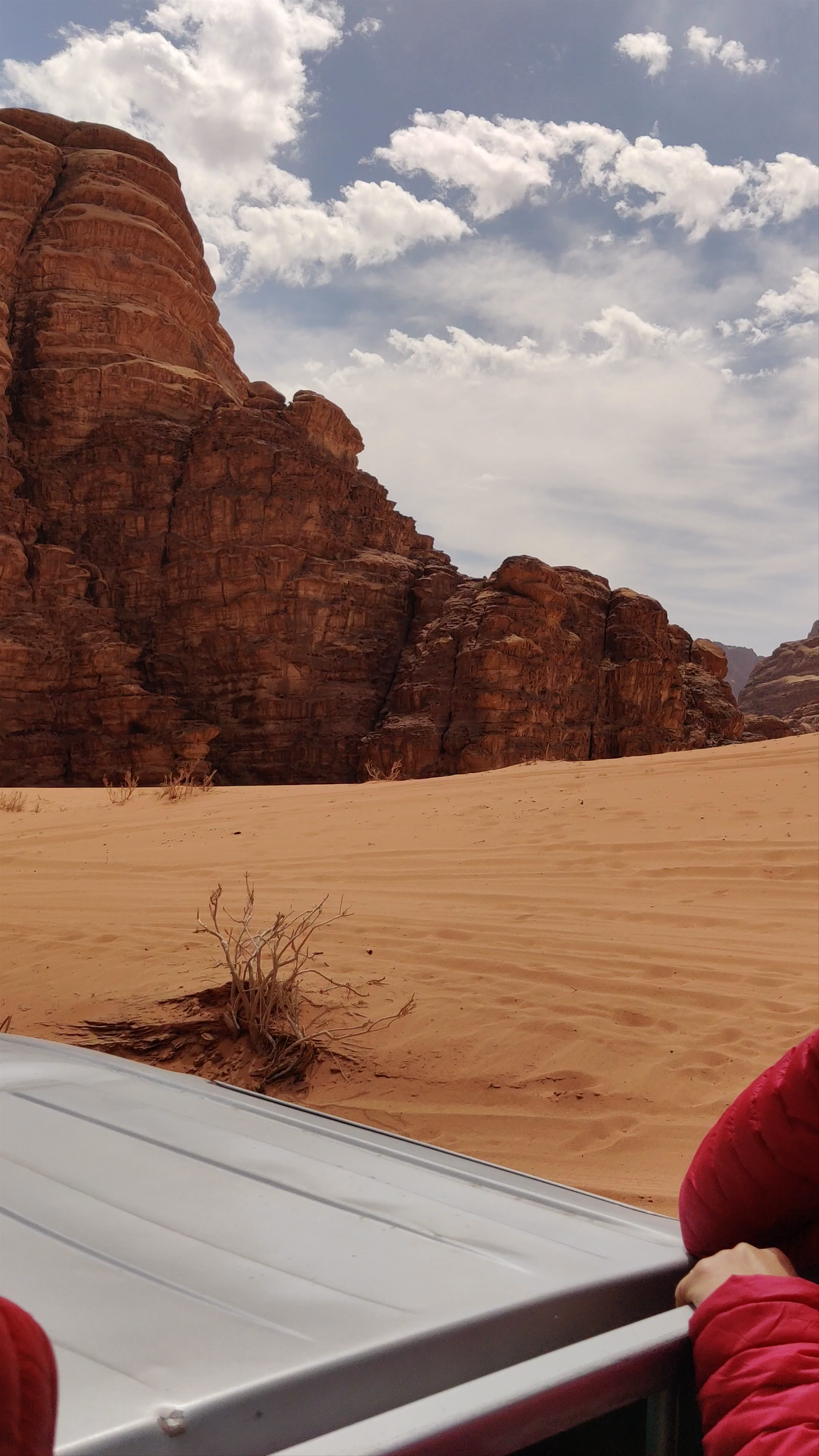 Desert Safari in Wadi Rum Village, Jordan