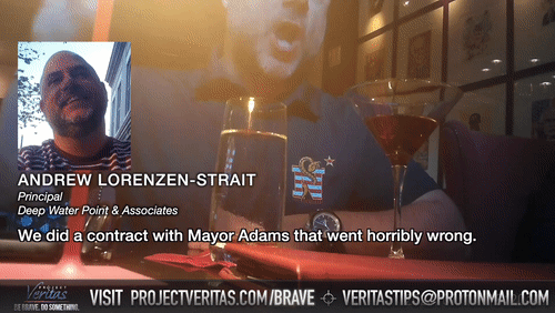 Video Thumbnail Loop