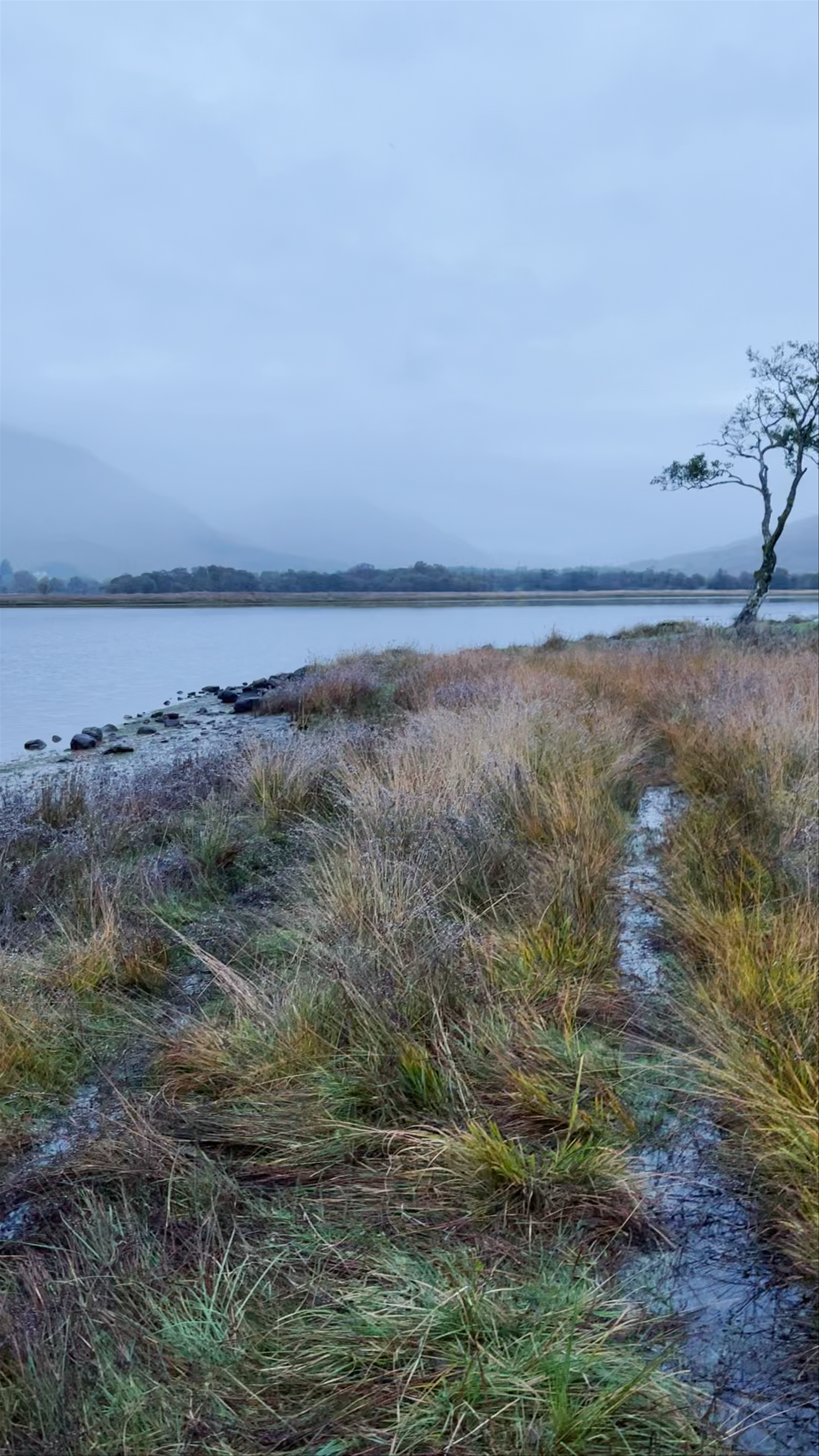 Kilchurn Castle Panorama Viewpoint on Kilchurn Grazings