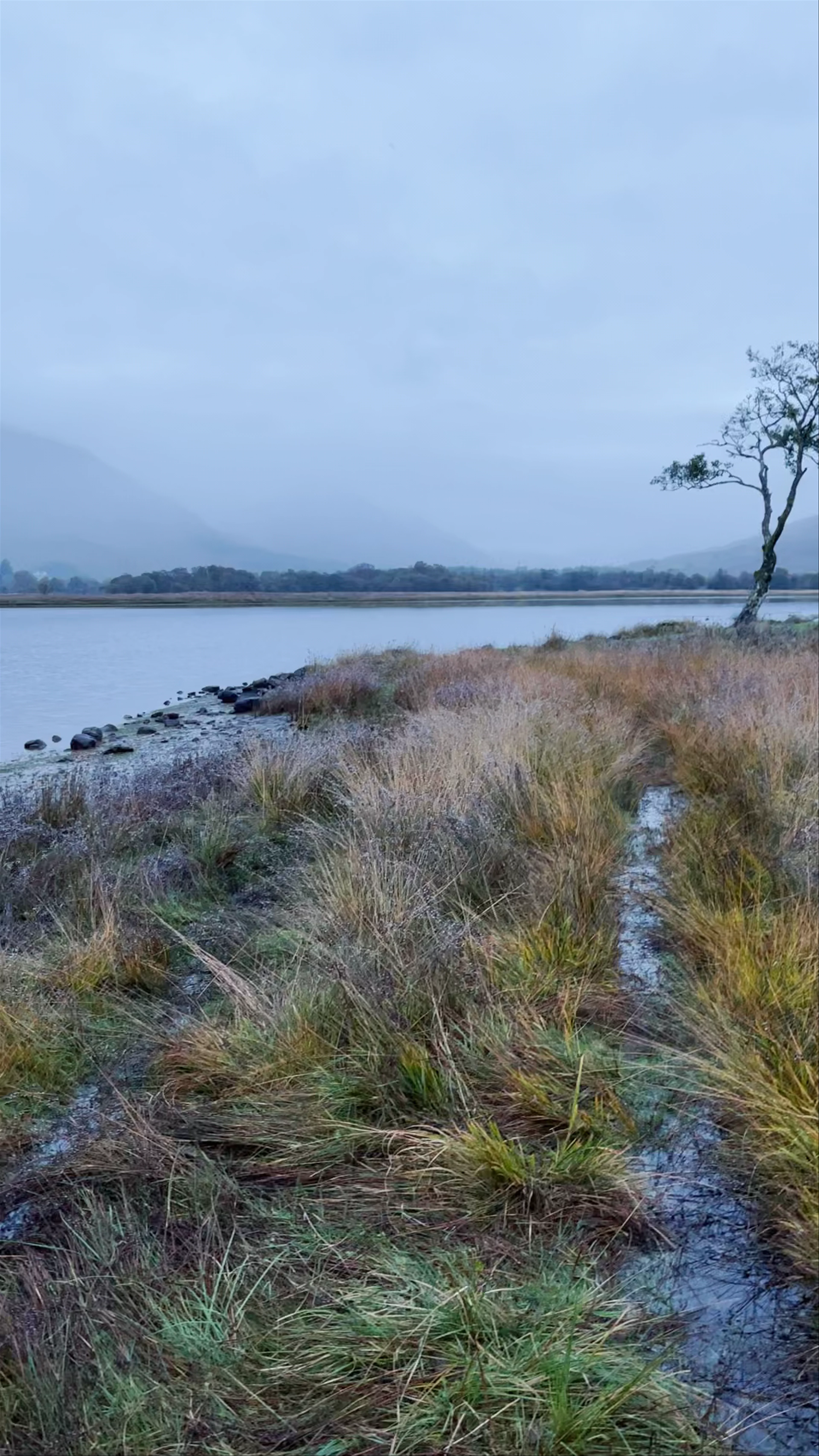 Kilchurn Castle Panorama Viewpoint on Kilchurn Grazings, Inveraray Road, Dalmally, UK