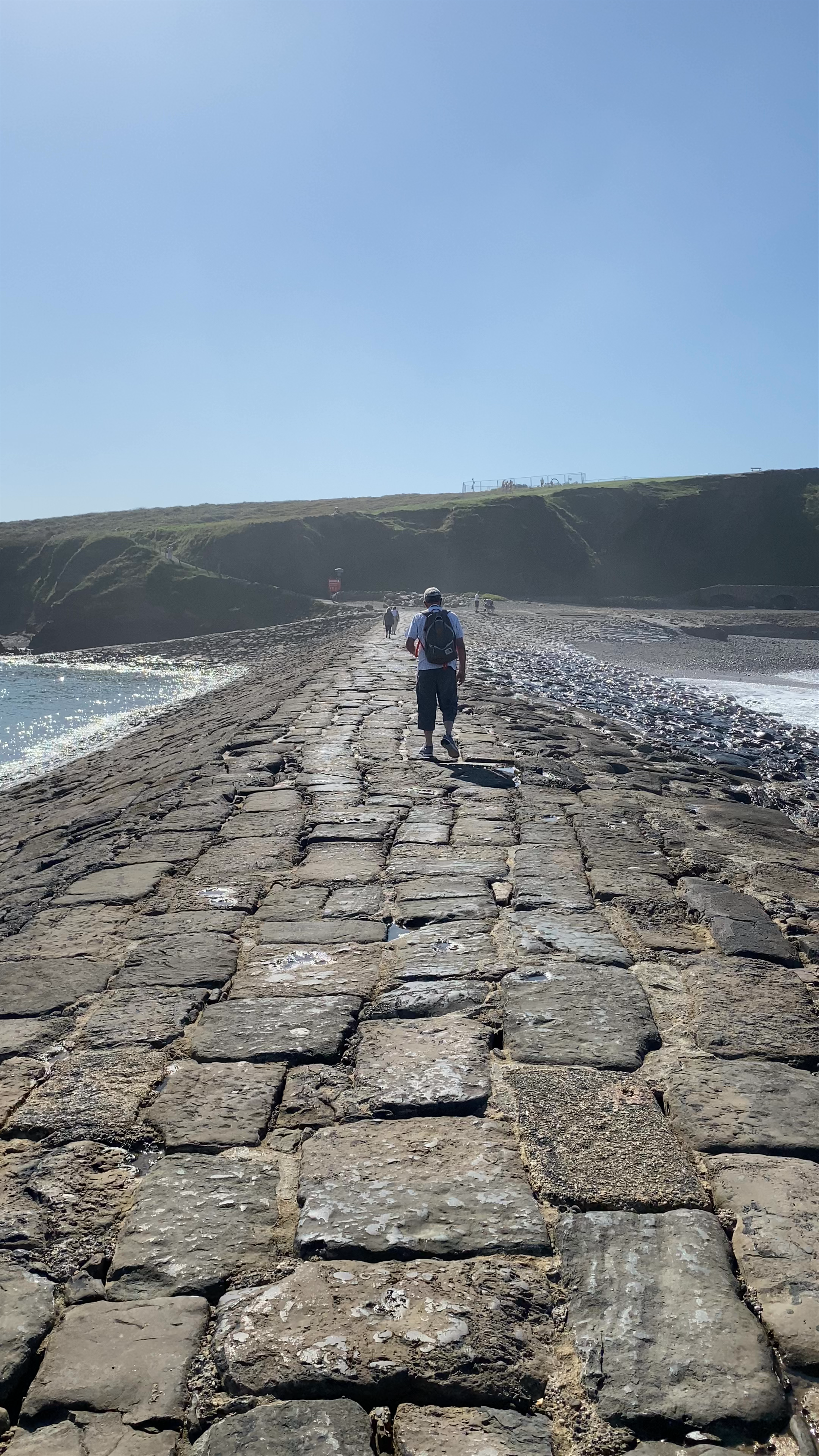 Viewing Point on the Levee