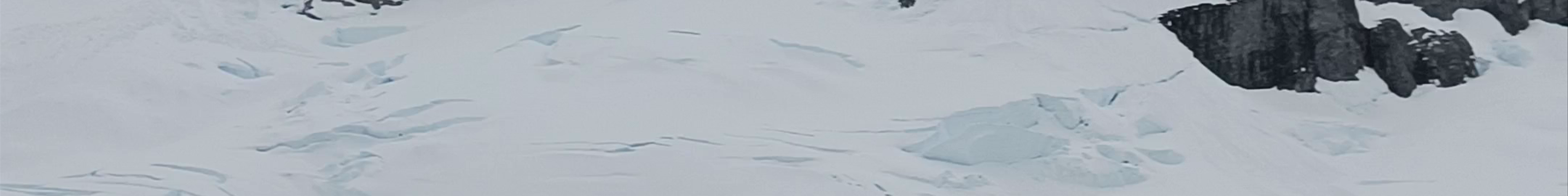 Tours & experiences in Antarctica