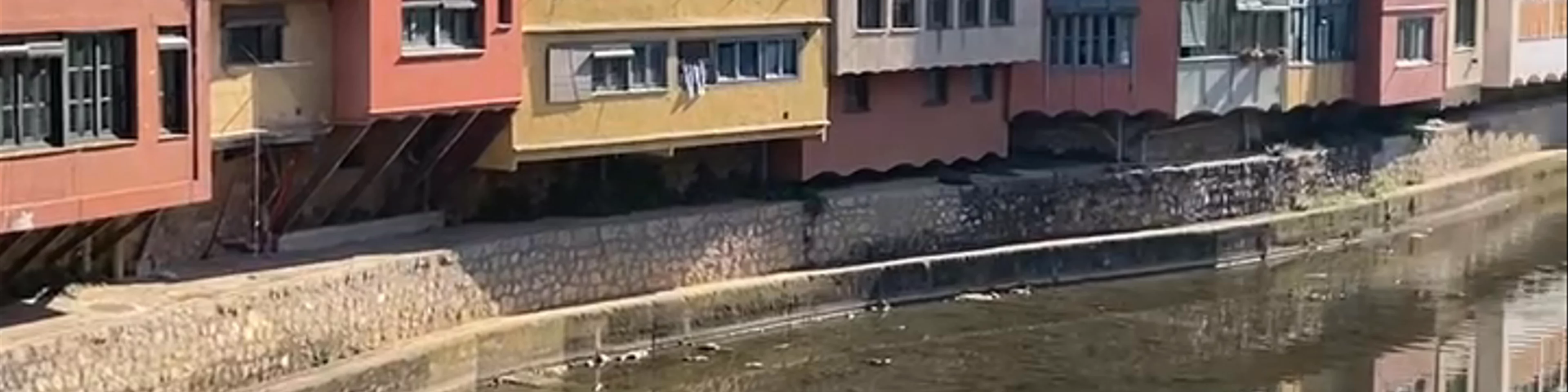 Puente de las Pescaderías Viejas
