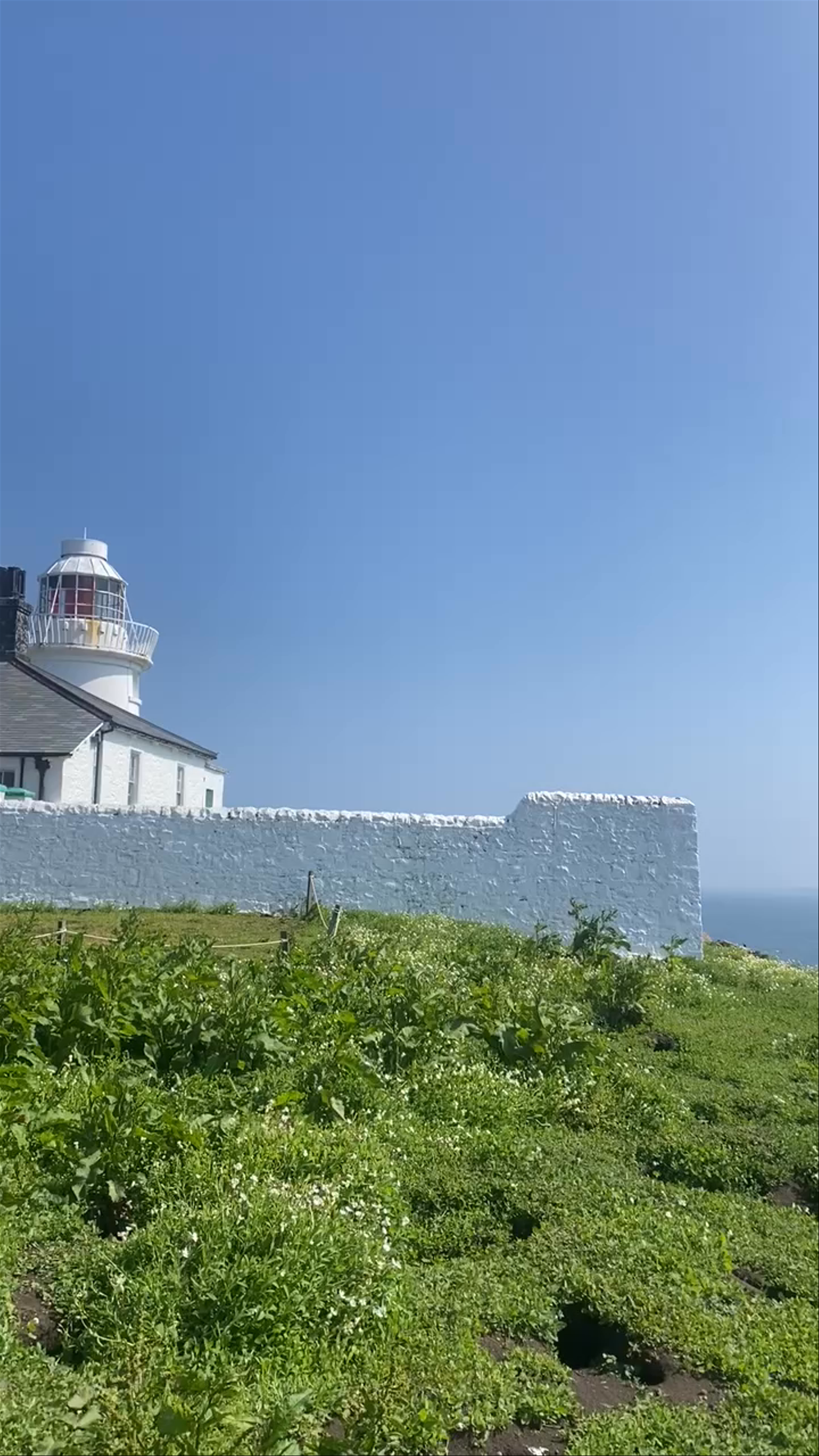 Inner Farne Lighthouse