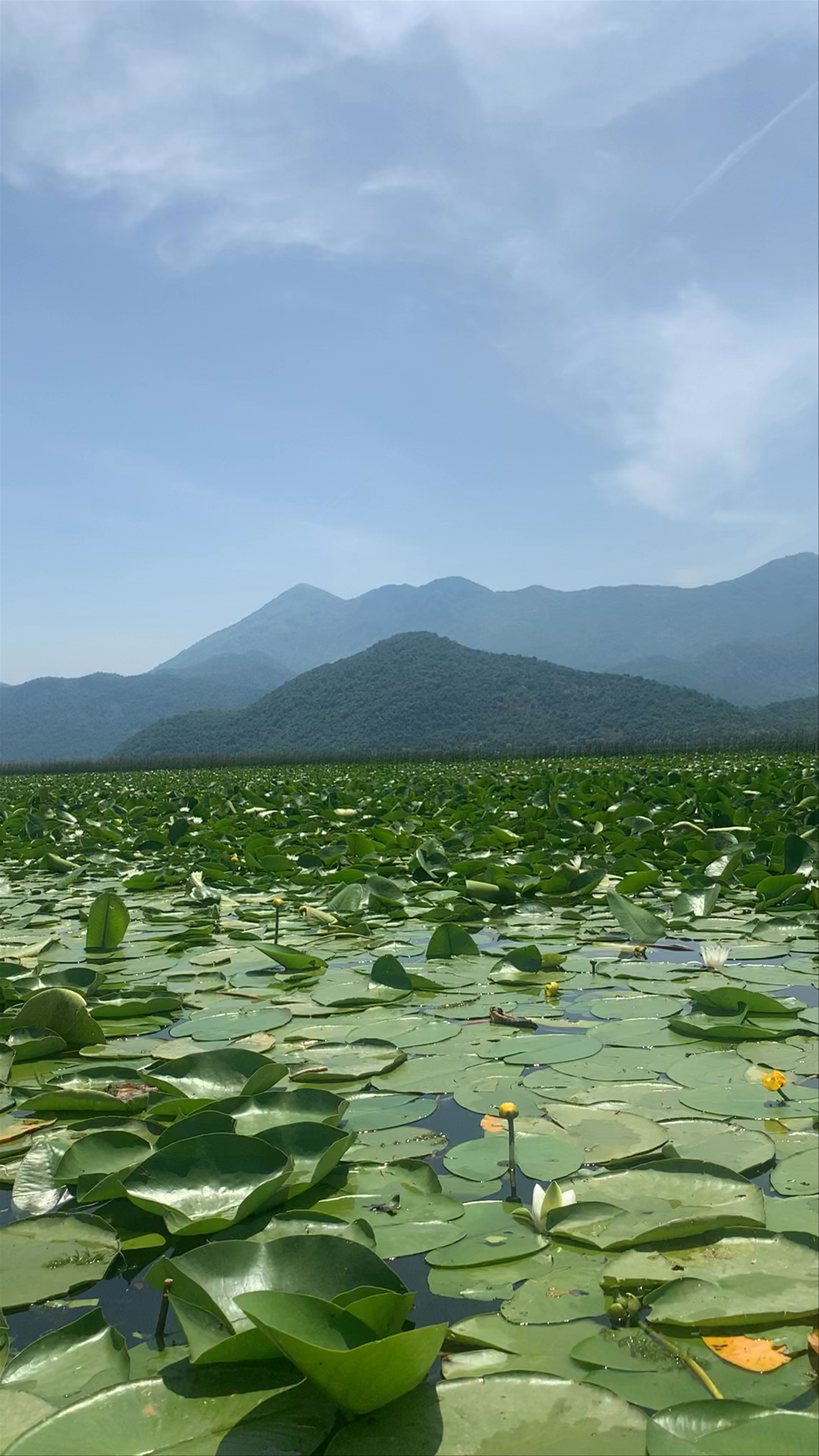 Lake Skadar National Park Visitors Centre