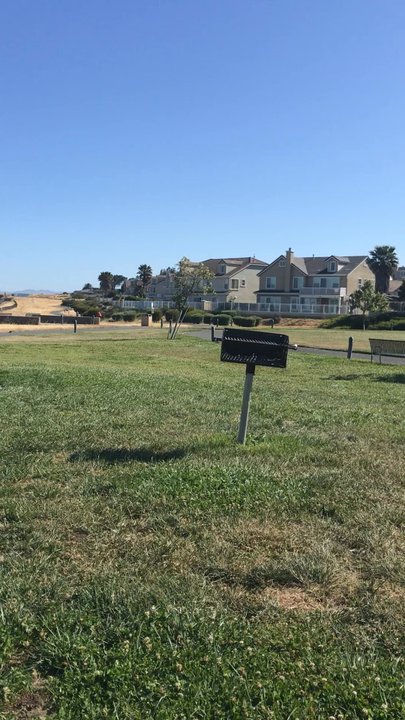 Shoreline Park - Picnic area - Parks Near Me - Hercules, California