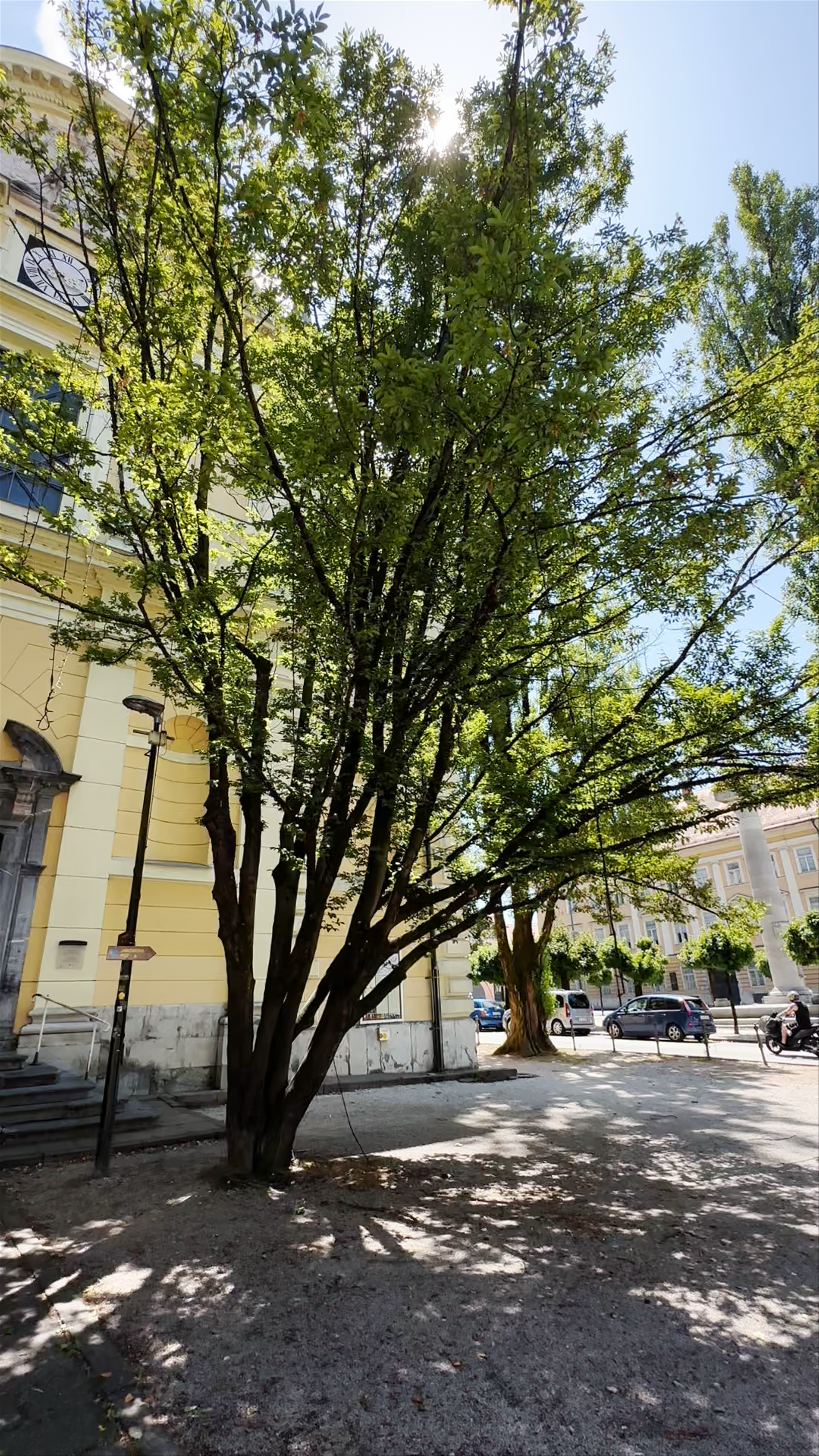 Church of St. James: Historic Serenity in Ljubljana