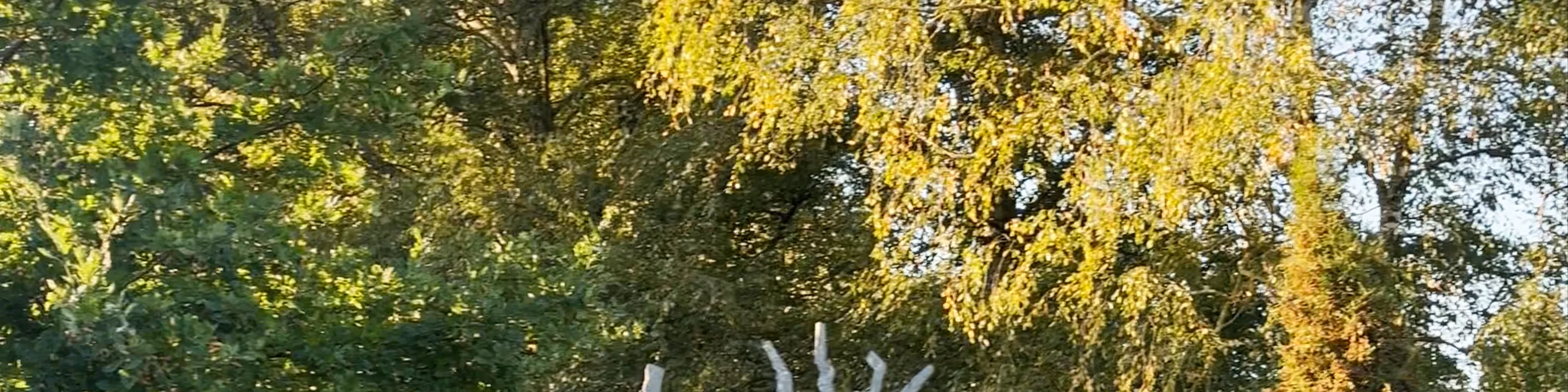 Paminklas Saločių 500 metų jubiliejui