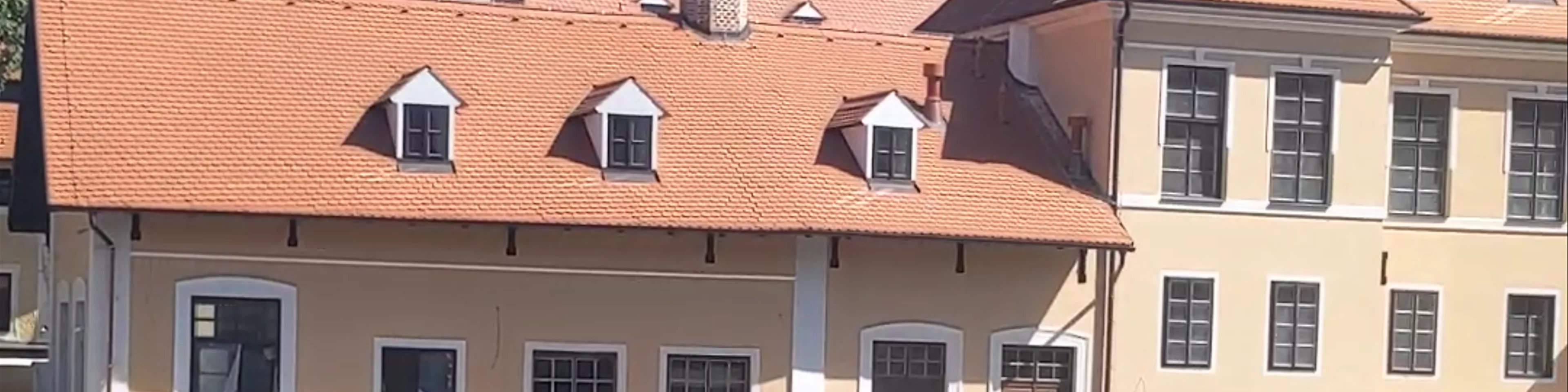 Hostel Merlin
