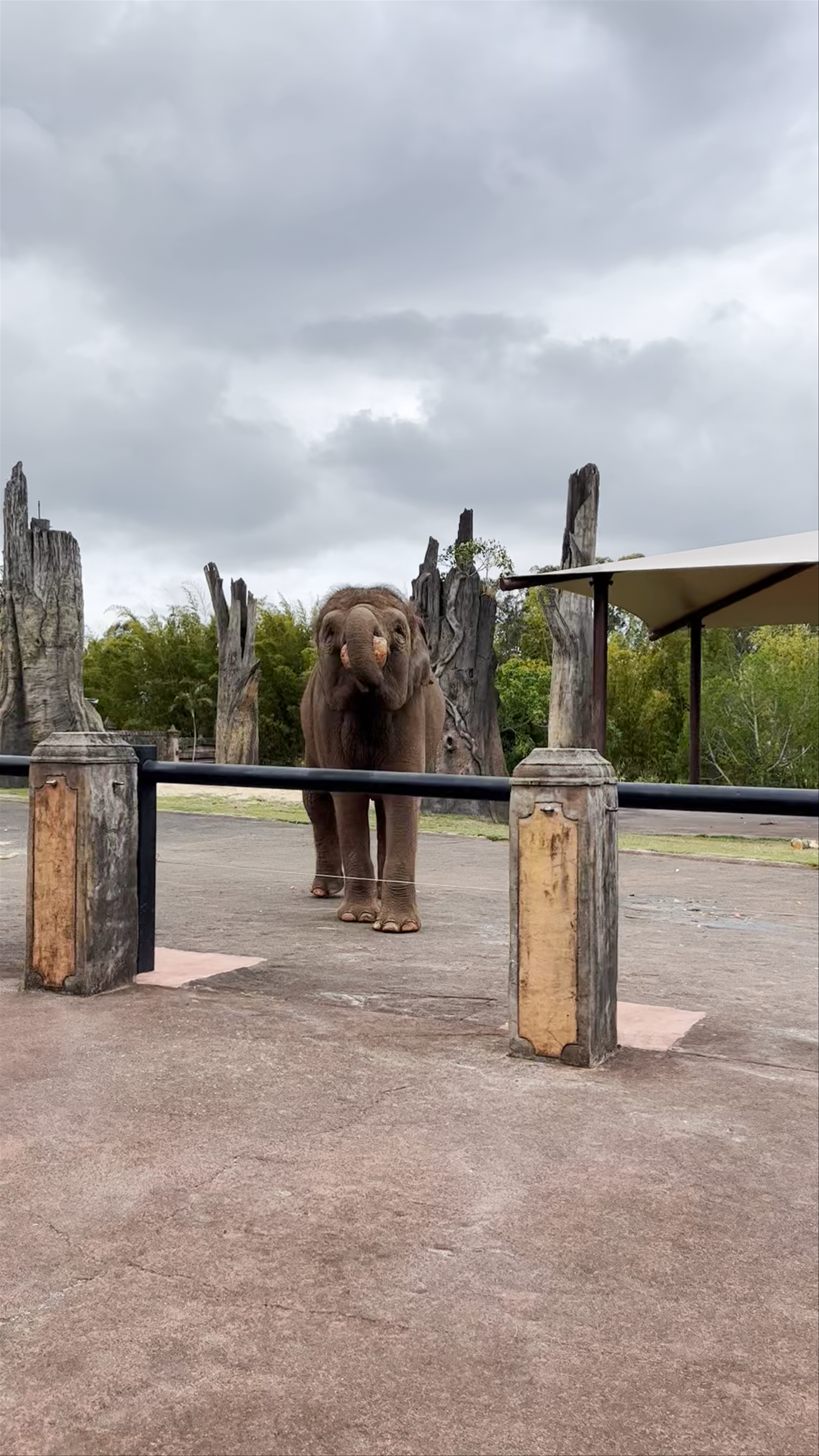 Australia Zoo