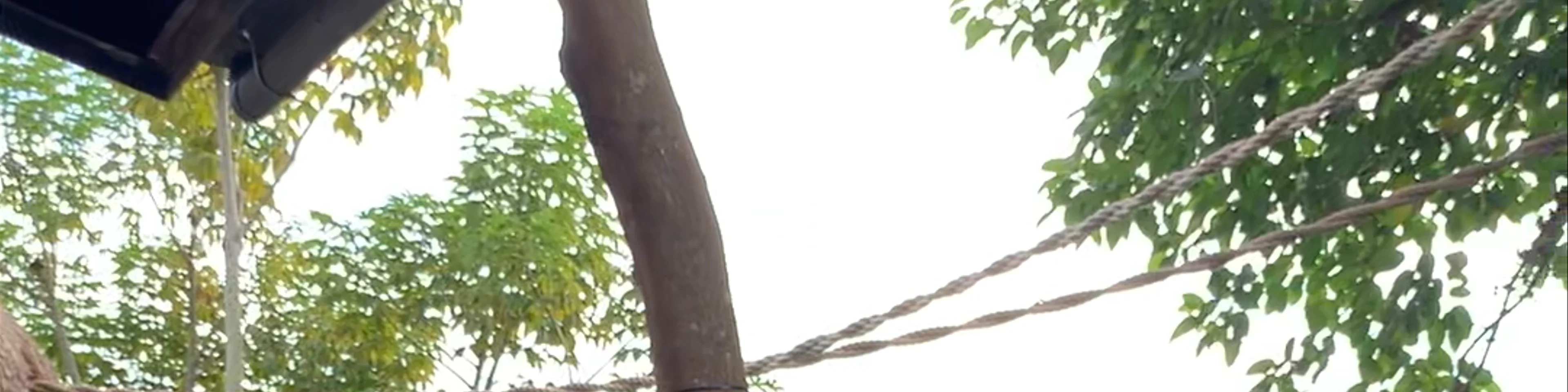 Bali Zoo