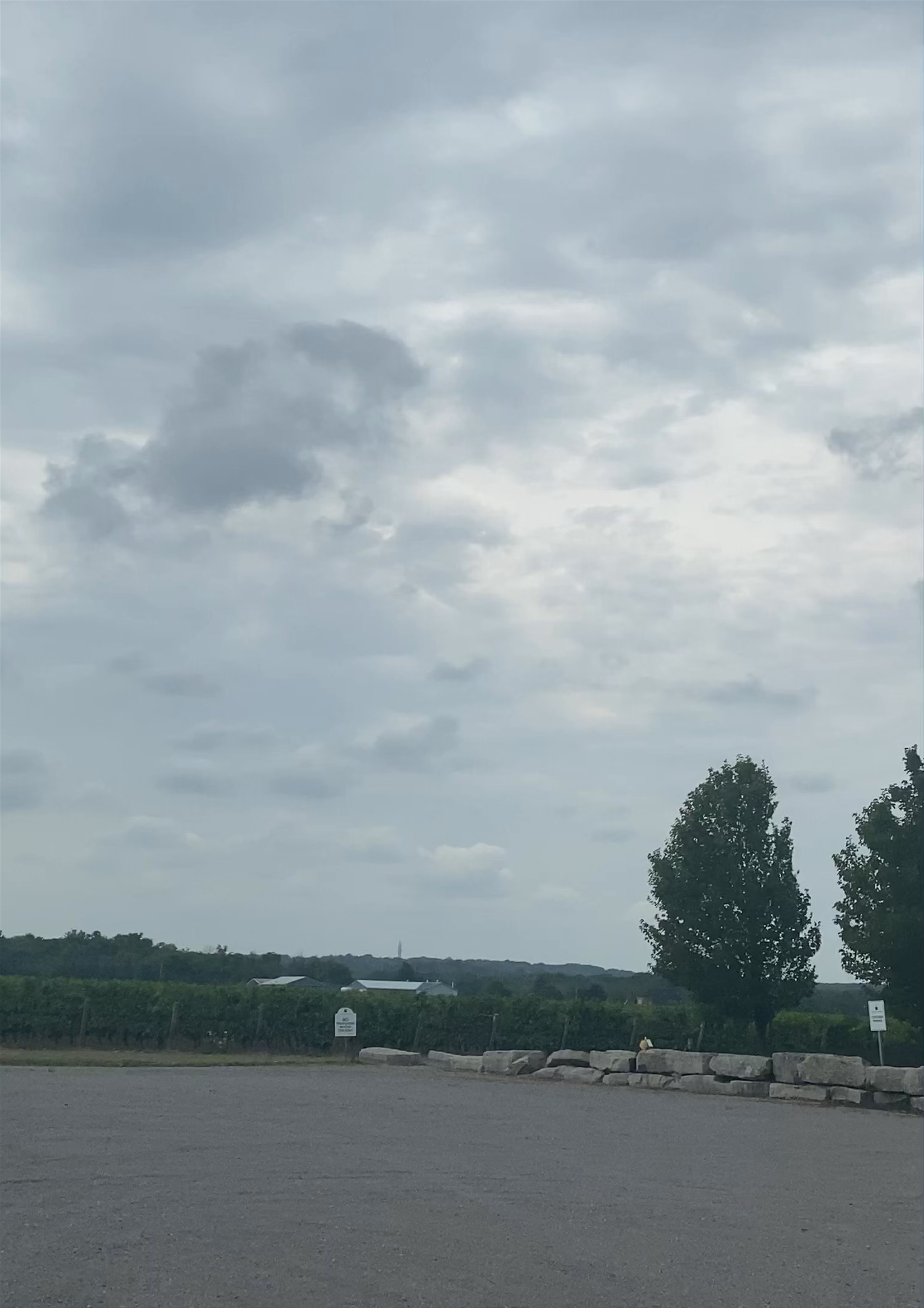 Colaneri Estate Winery: Tranquil Winery Escape in Niagara-on-the-Lake