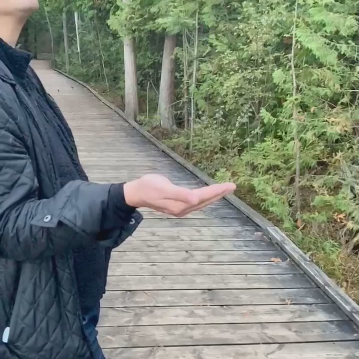 MacGregor Point Provincial Park - Just another day - Parks Near Me - Port Elgin, Ontario
