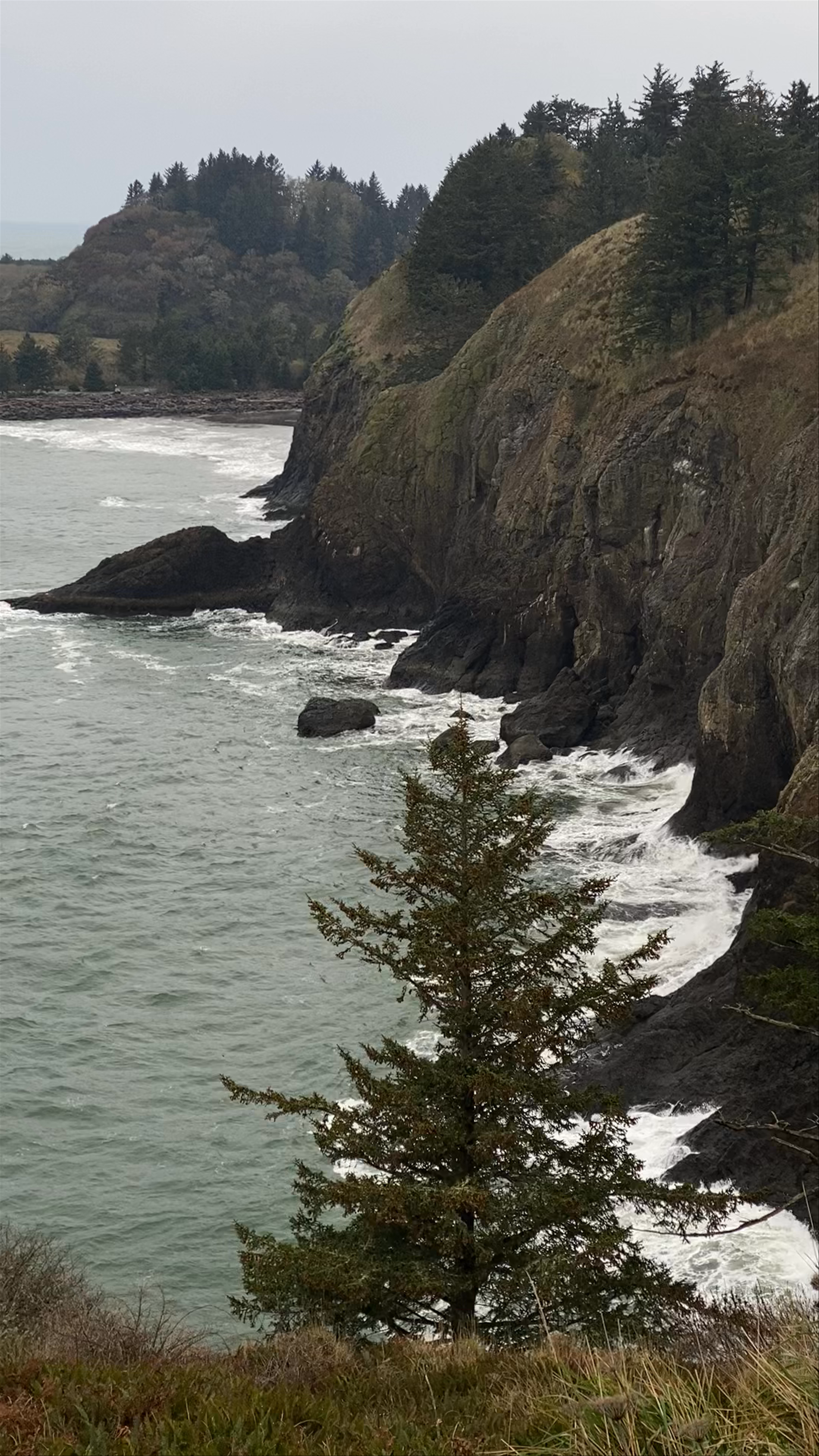 Cape Disappointment