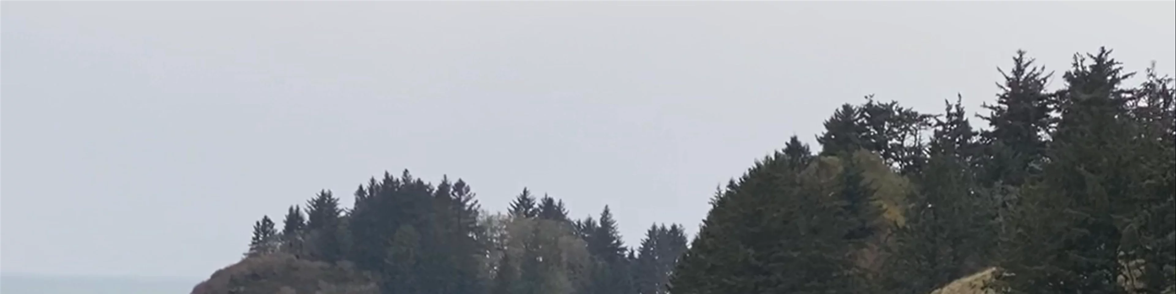 Cape Disappointment