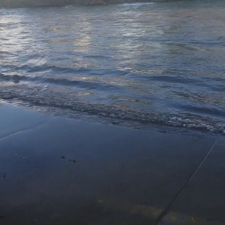 The Rock Park - Beach in the city lol. the water level is so high that the tree trunks are submerged :) should be fun here when it warms up - Parks Near Me - Sparks, Nevada