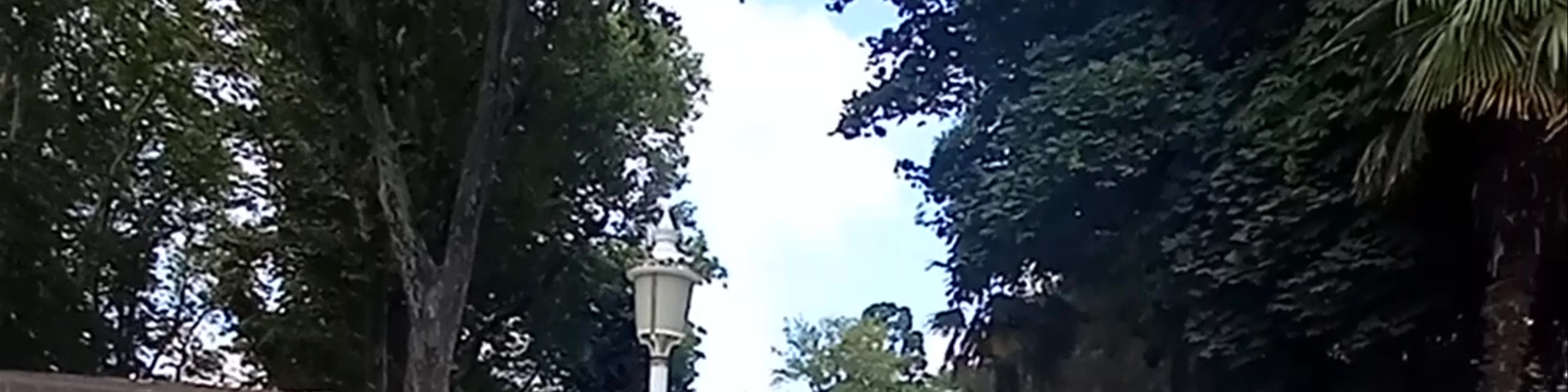 Cankurtaran