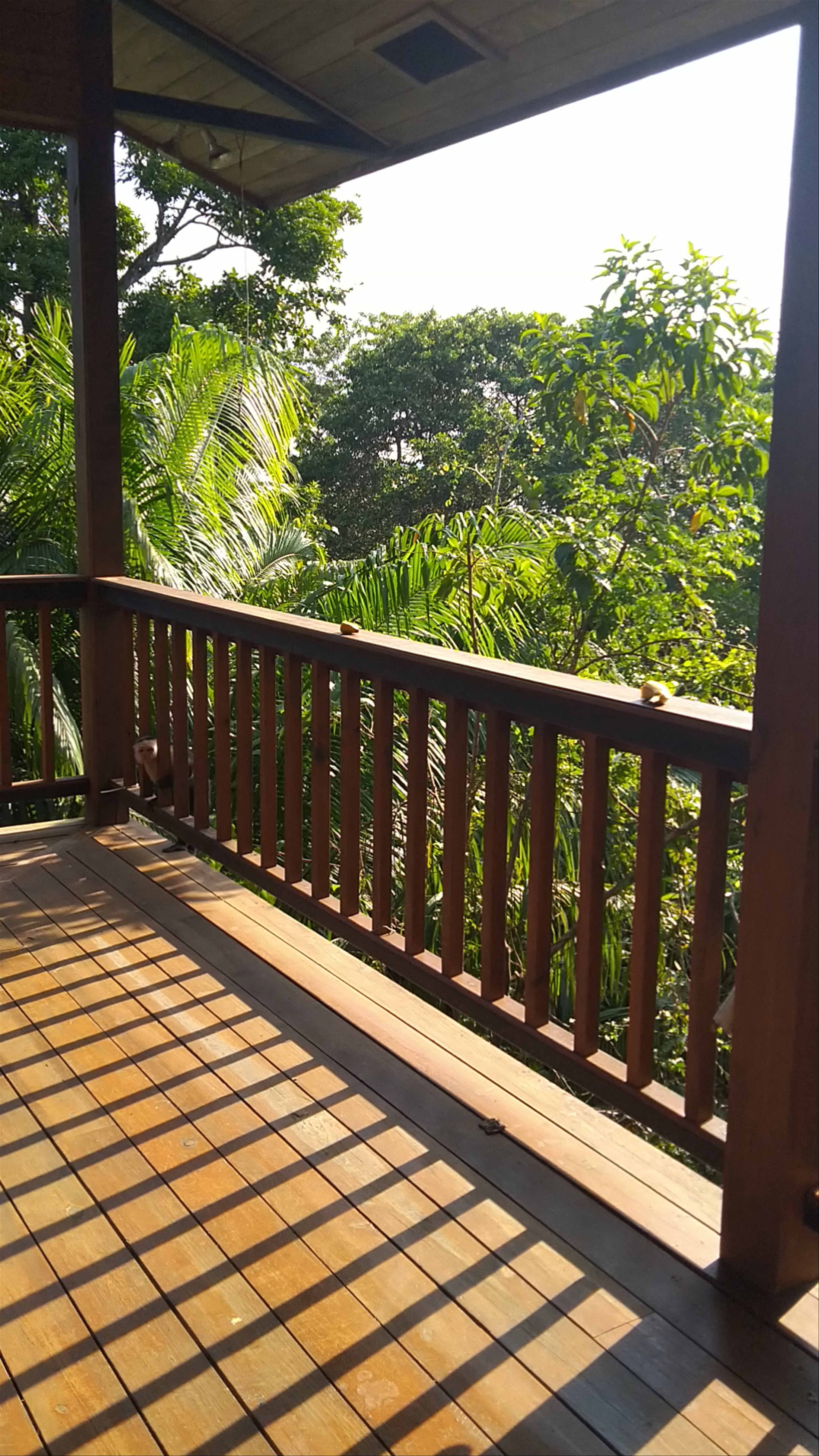 Tranquilo Bay Eco Adventure Lodge