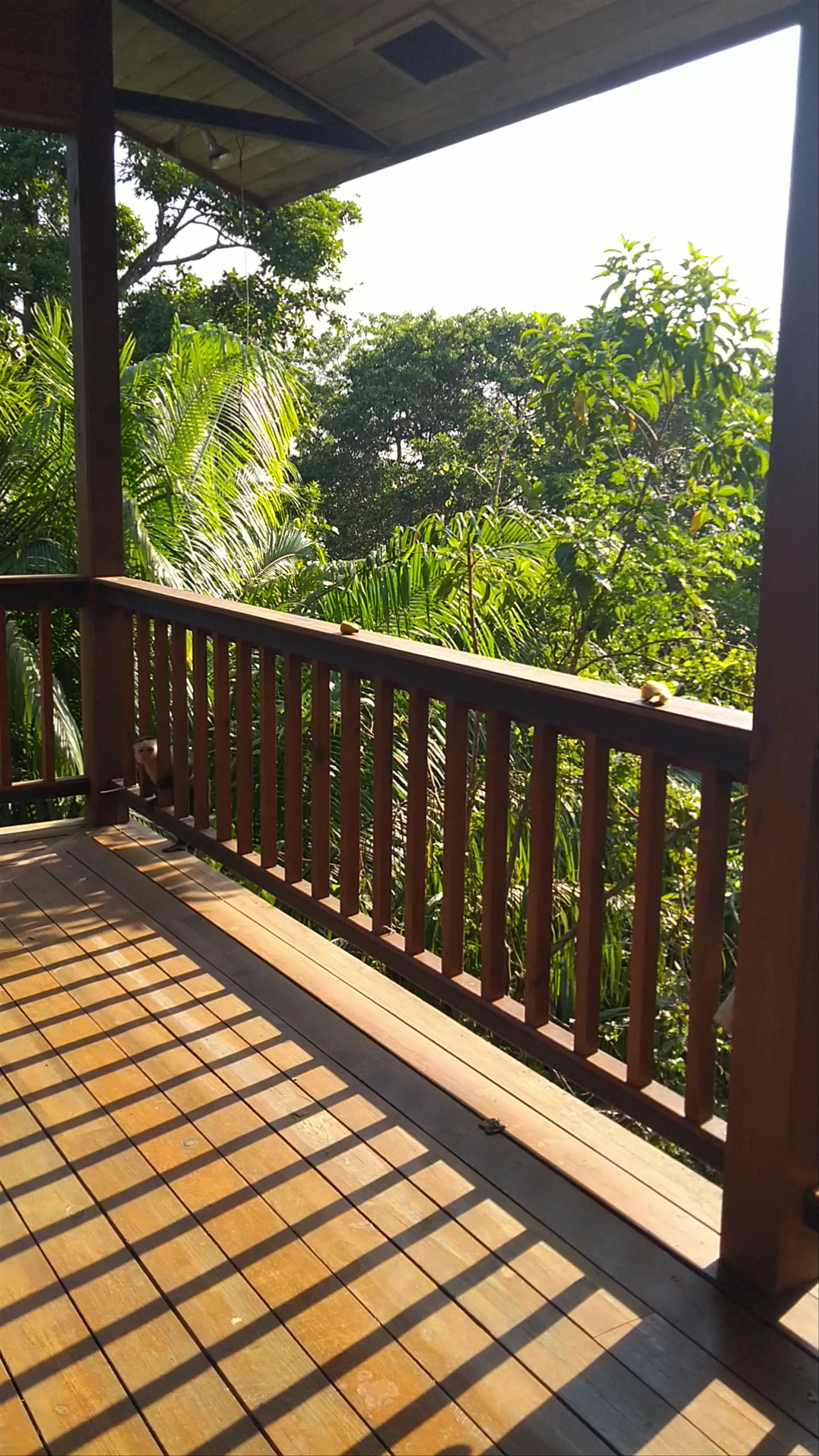 Tranquilo Bay Eco Adventure Lodge
