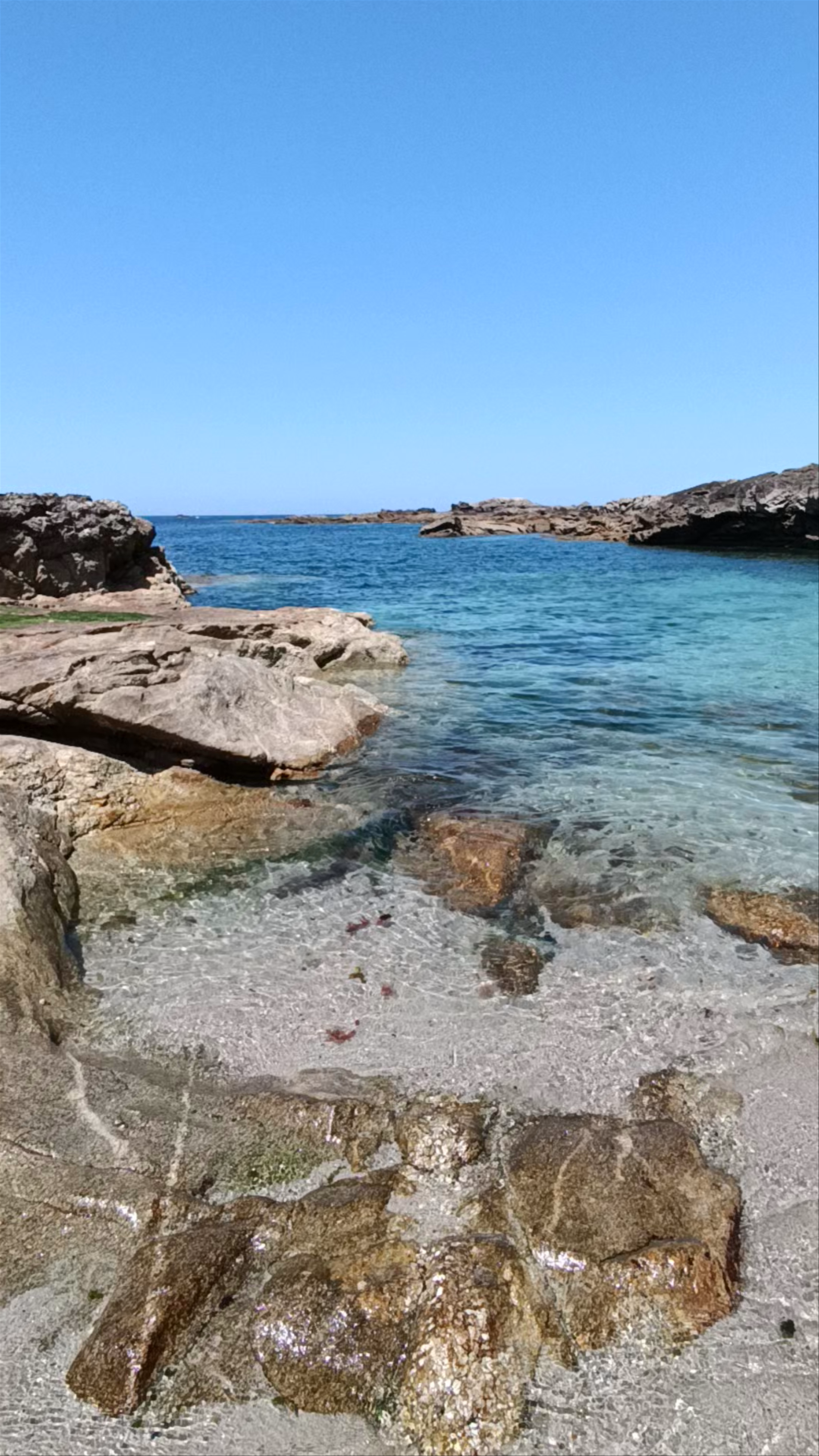 Praia Fedorento