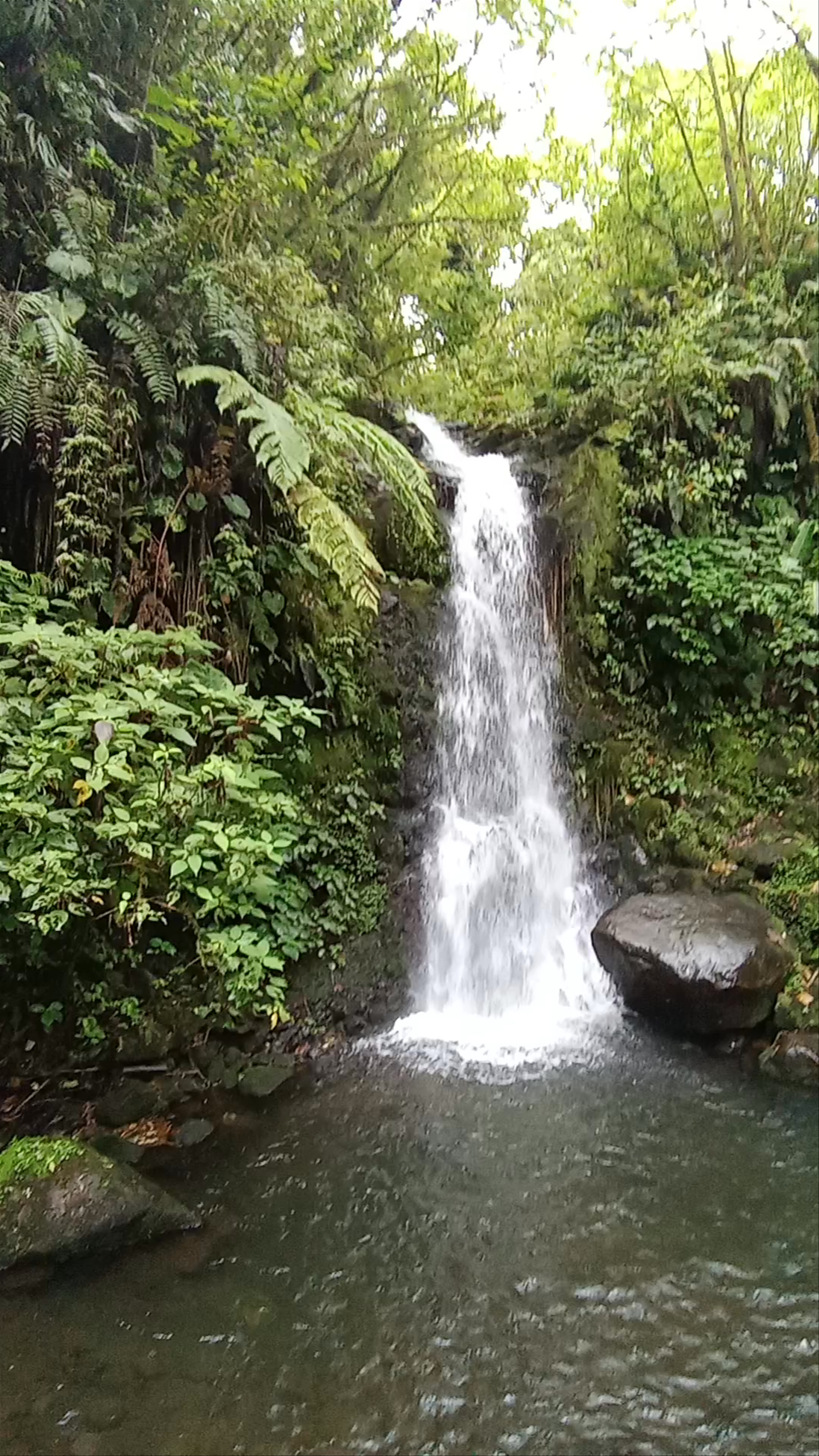 Cataratas Finca Dos Ríos