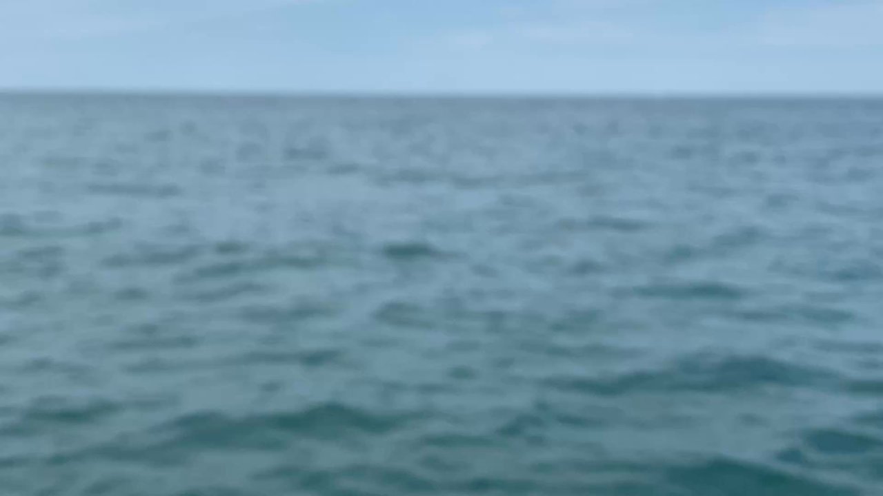 Anchor Charters - Snorkeling Near Me - Panama city, Florida