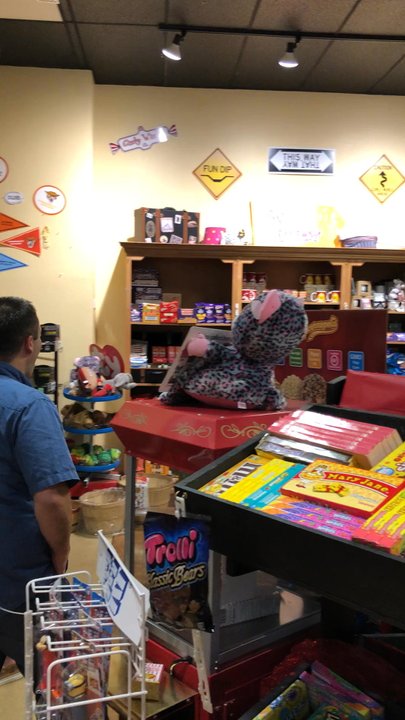 Sweet Street - Sooooo much candy!!! - Candy Stores Near Me - Danville, California