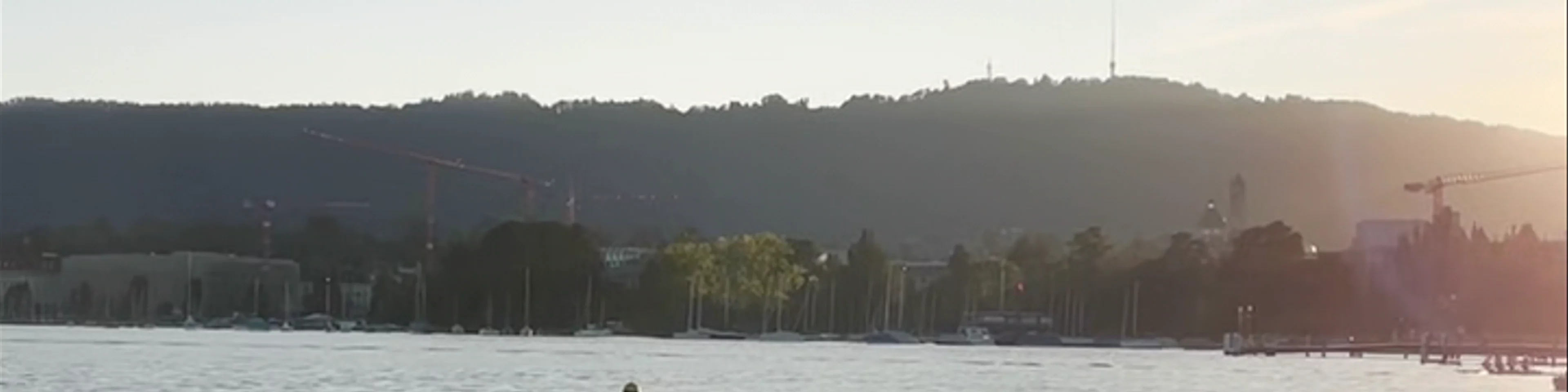 Zürichsee