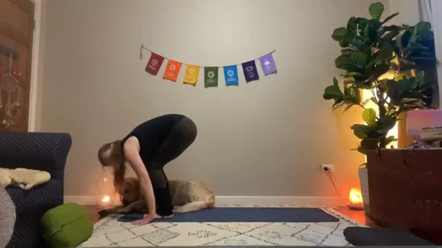 QUICK TUNE UP: Ashtanga 60 minute practice