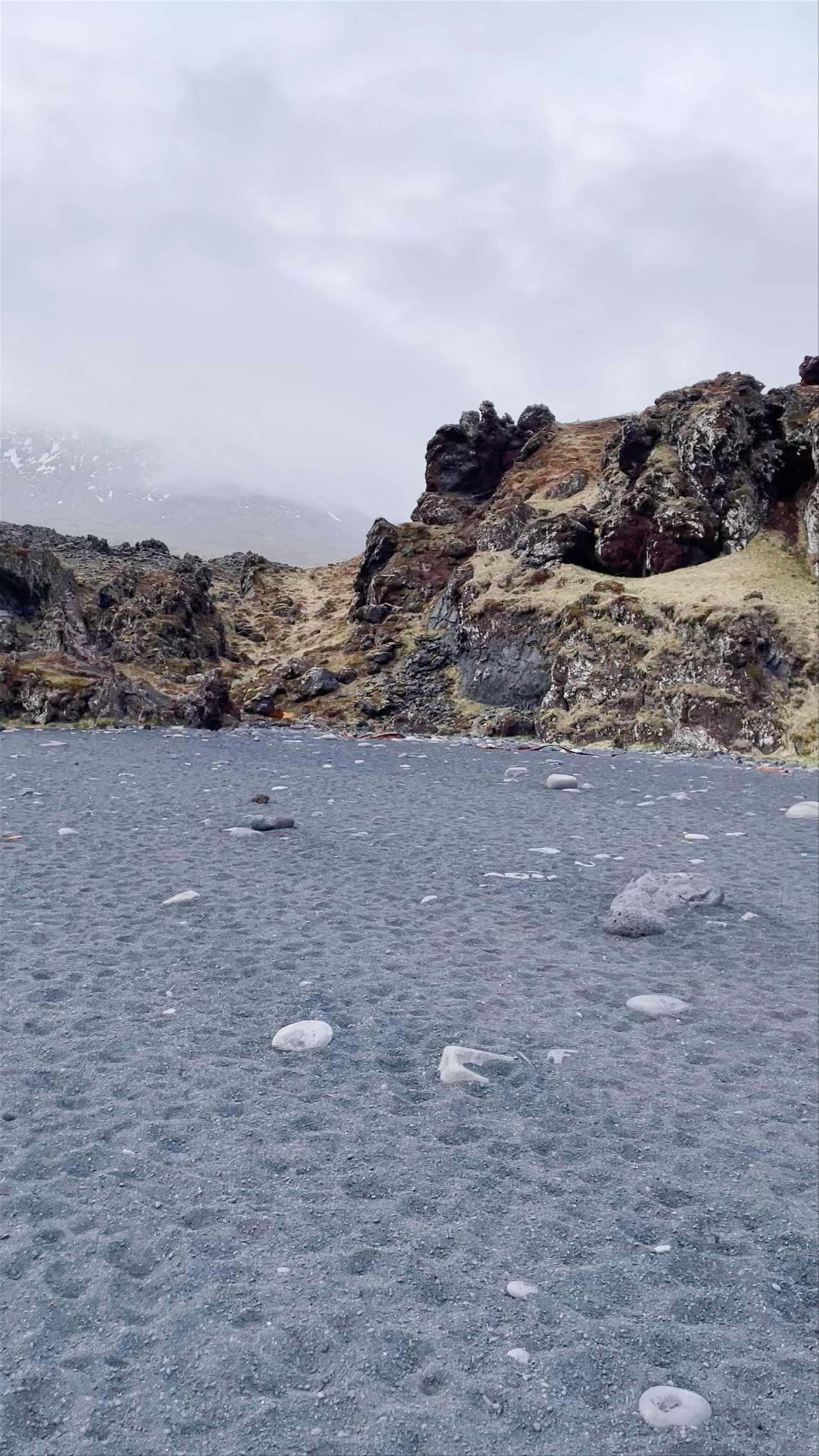 Remains of Epine GY7 Fishing Trawler