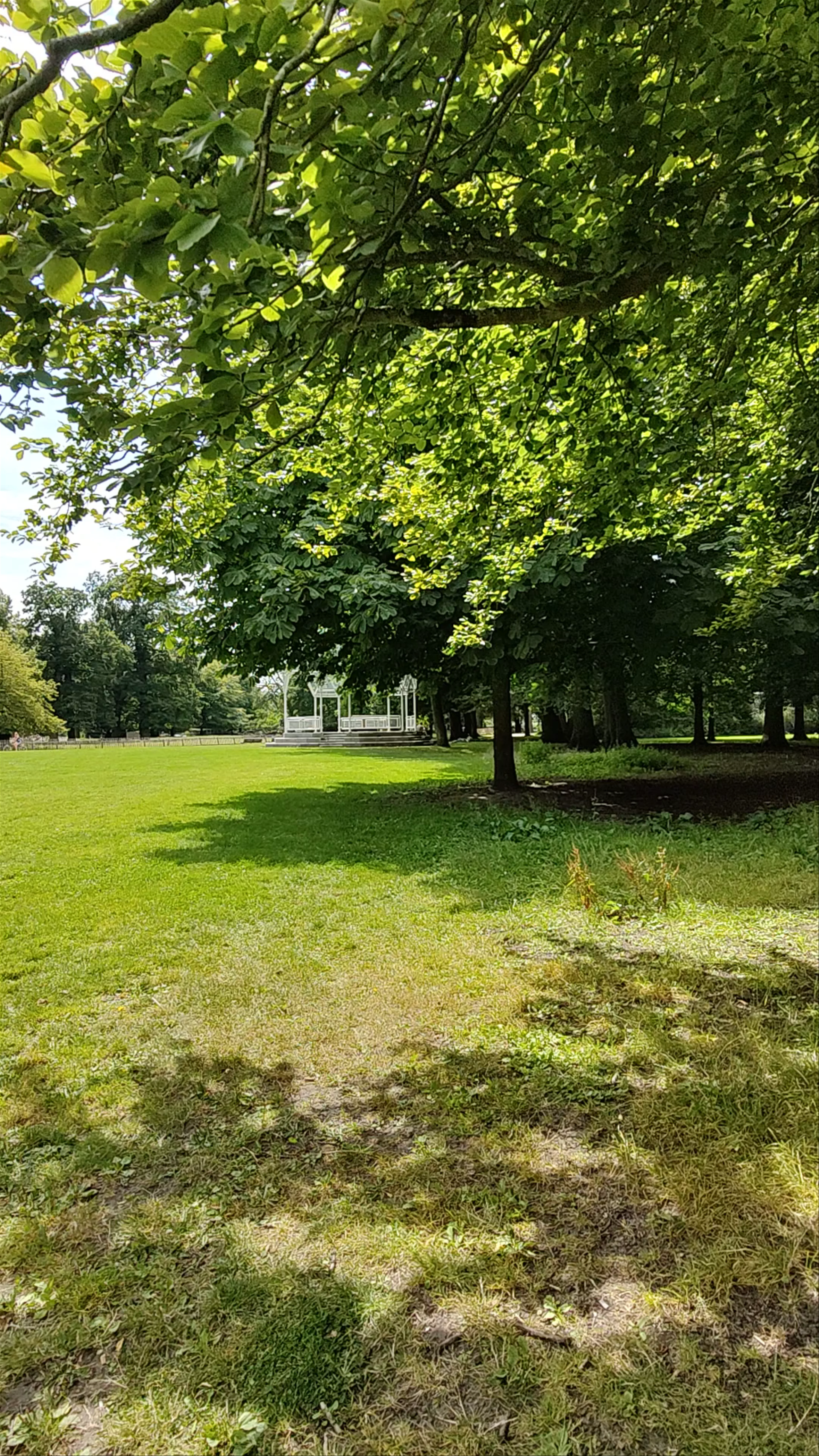 Theehuis de Haarlemmerhout