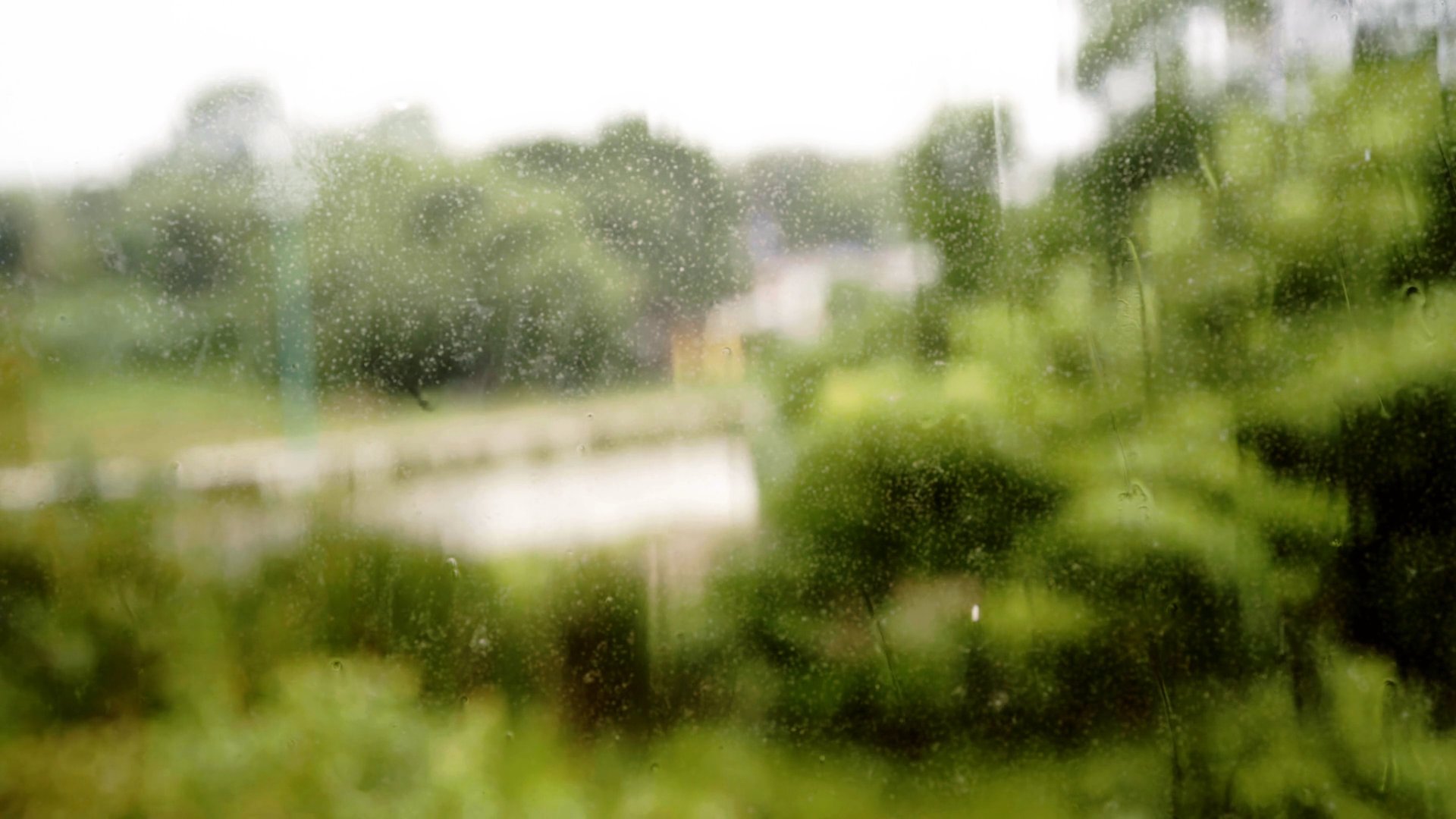 Storm at the Cabin