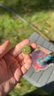 Small image 6