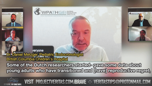 Video Thumbnail Loop