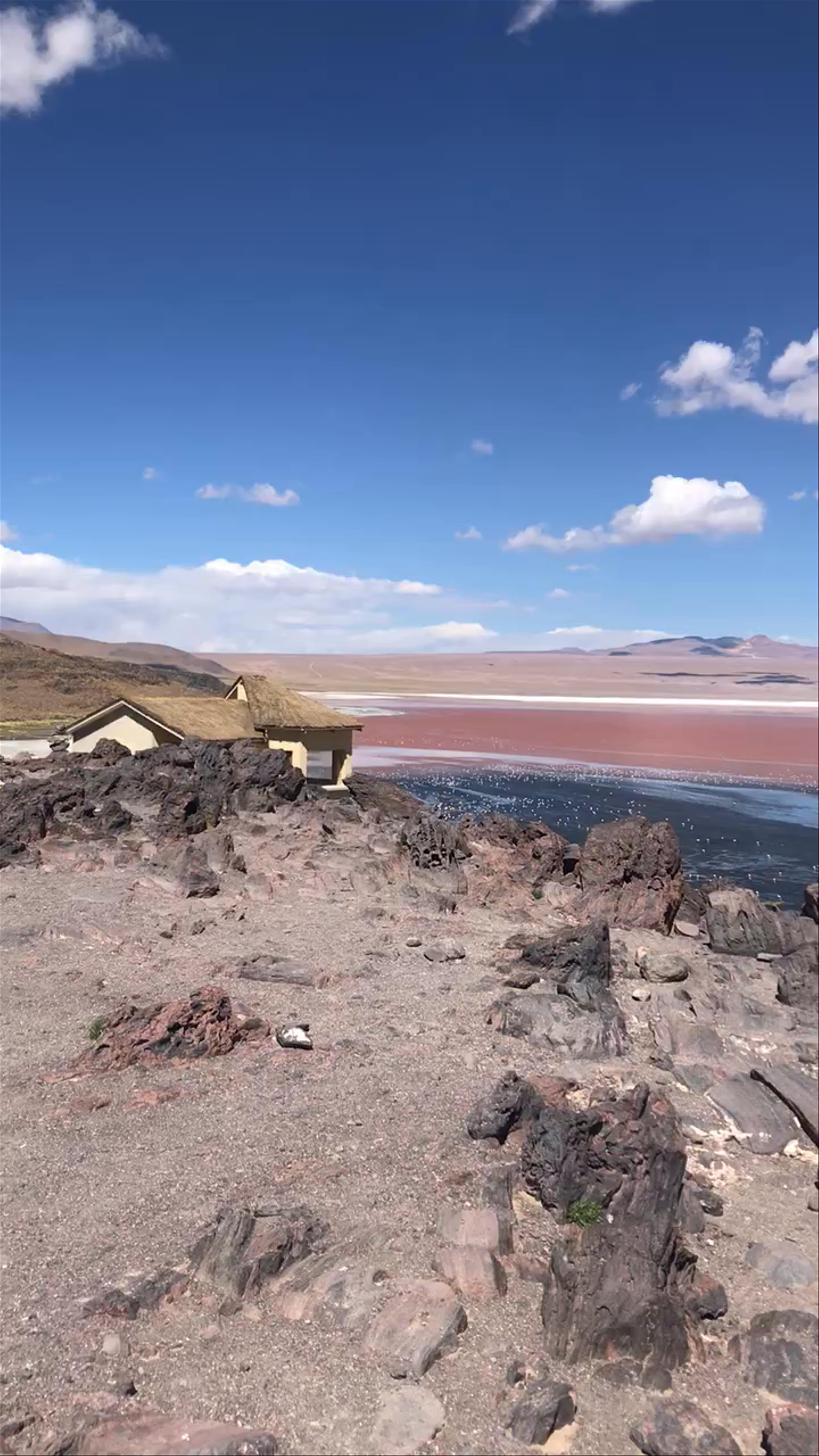 Laguna Colorada