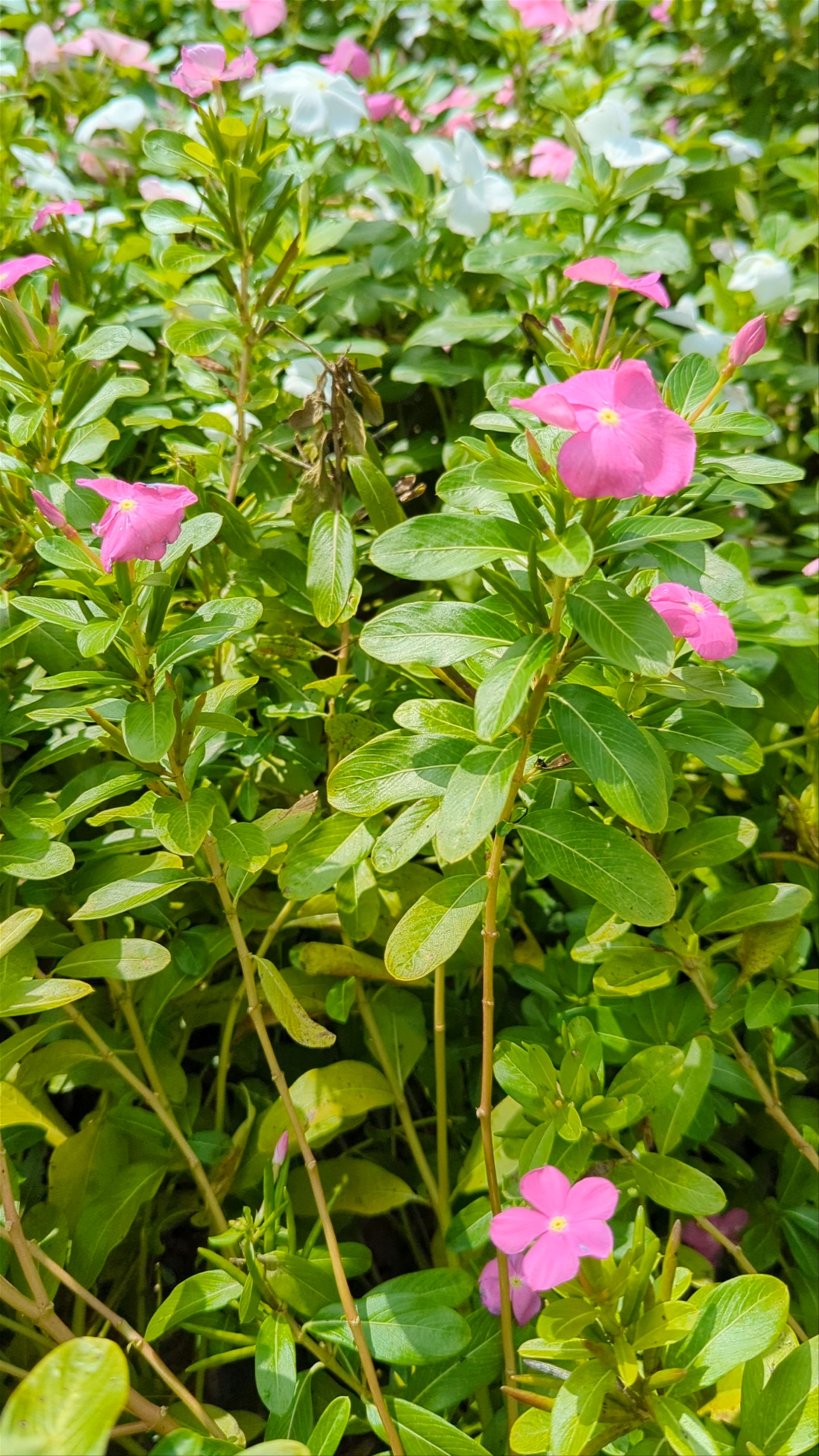Virginia Aquarium & Marine Science Center
