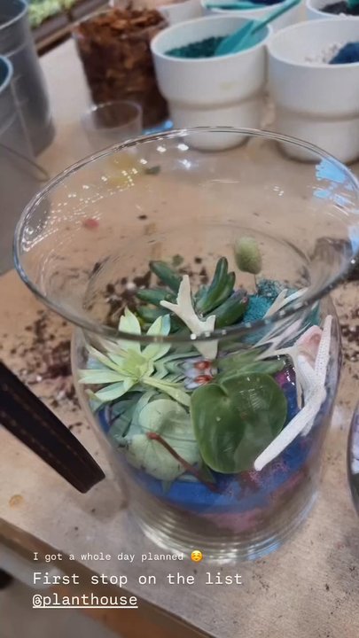 PlantHouse - Our creations ! - Nurseries & Gardening Near Me - Huntersville, North Carolina